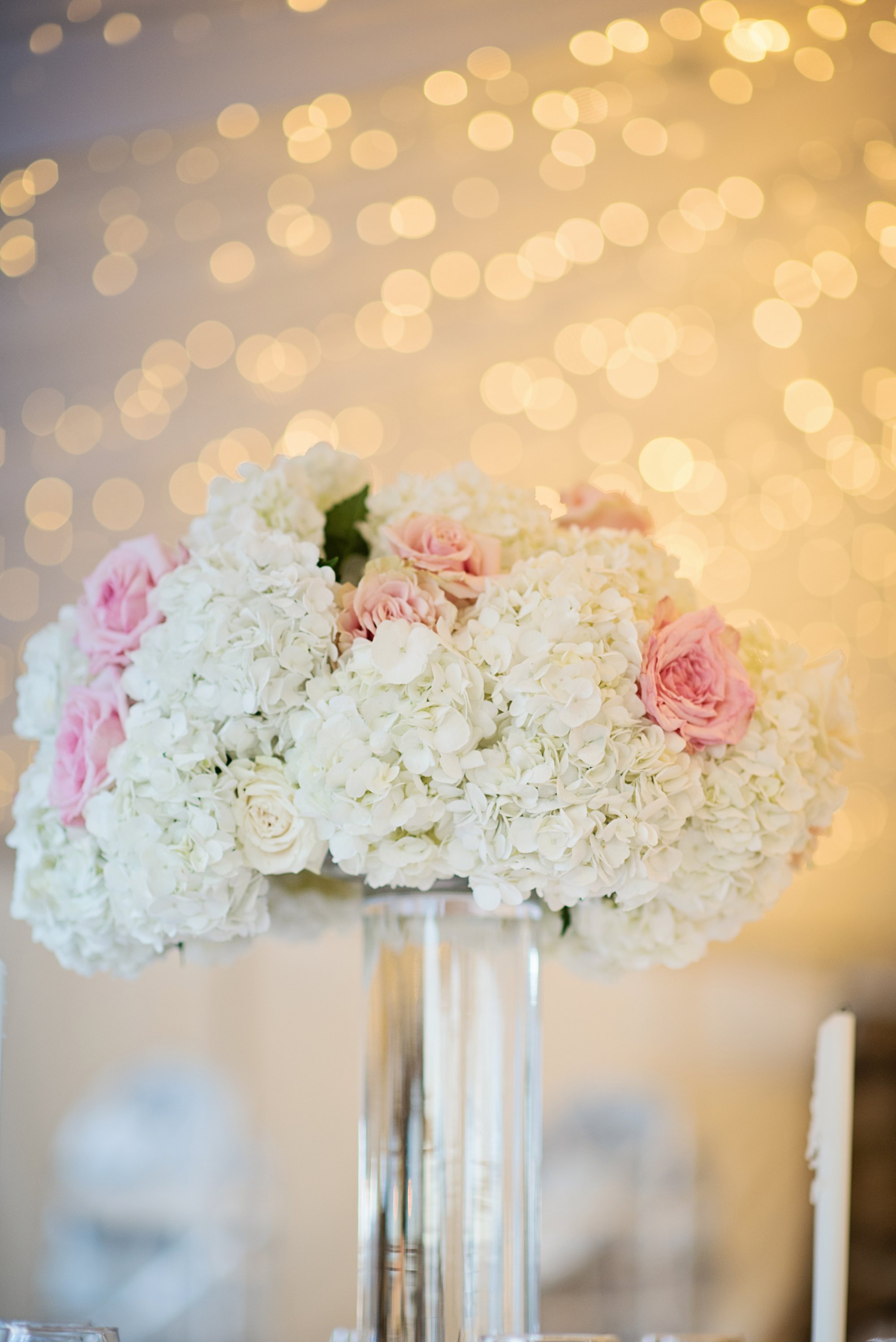 elizabeth-ann-photography_2330