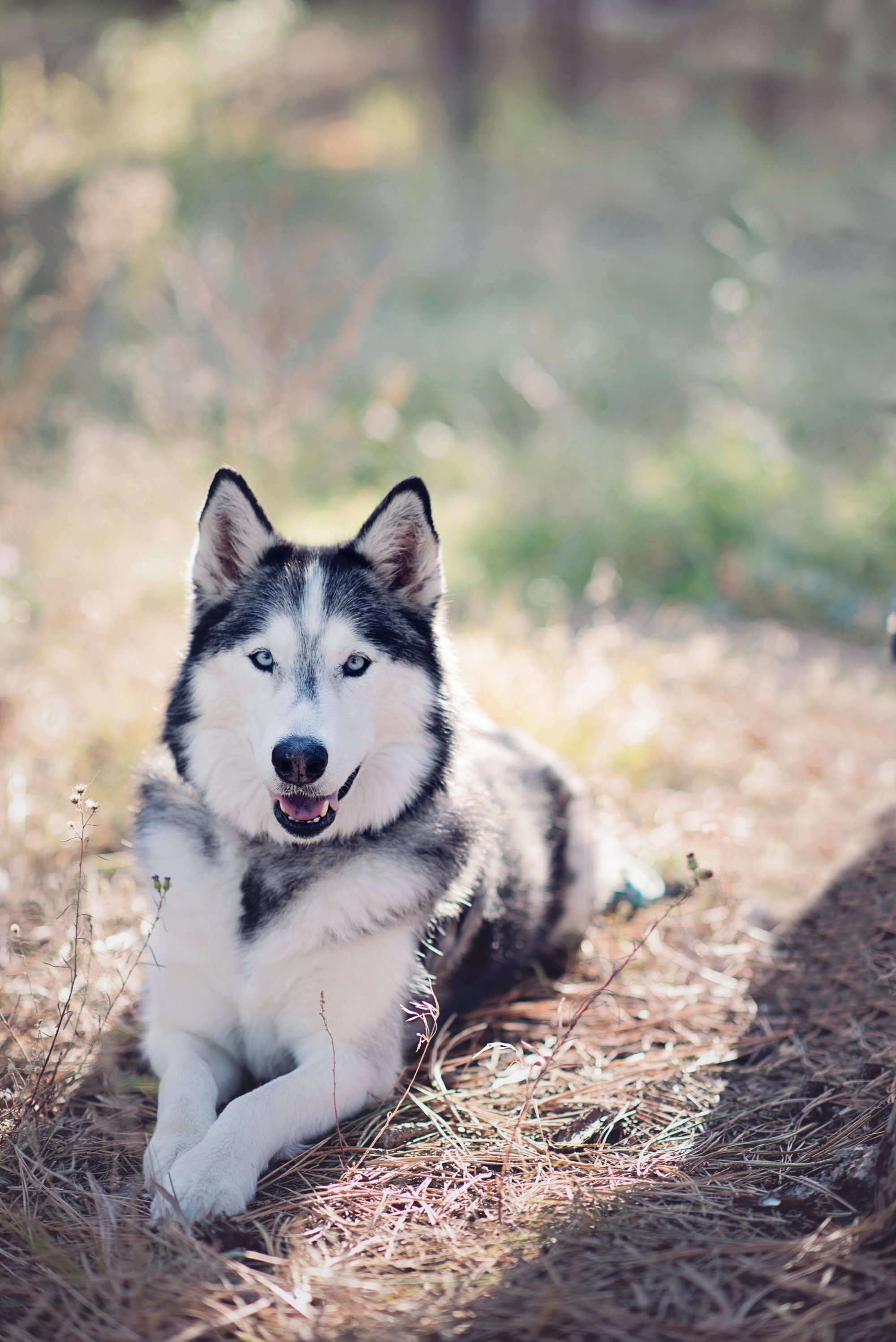 elizabeth-ann-photography_2541