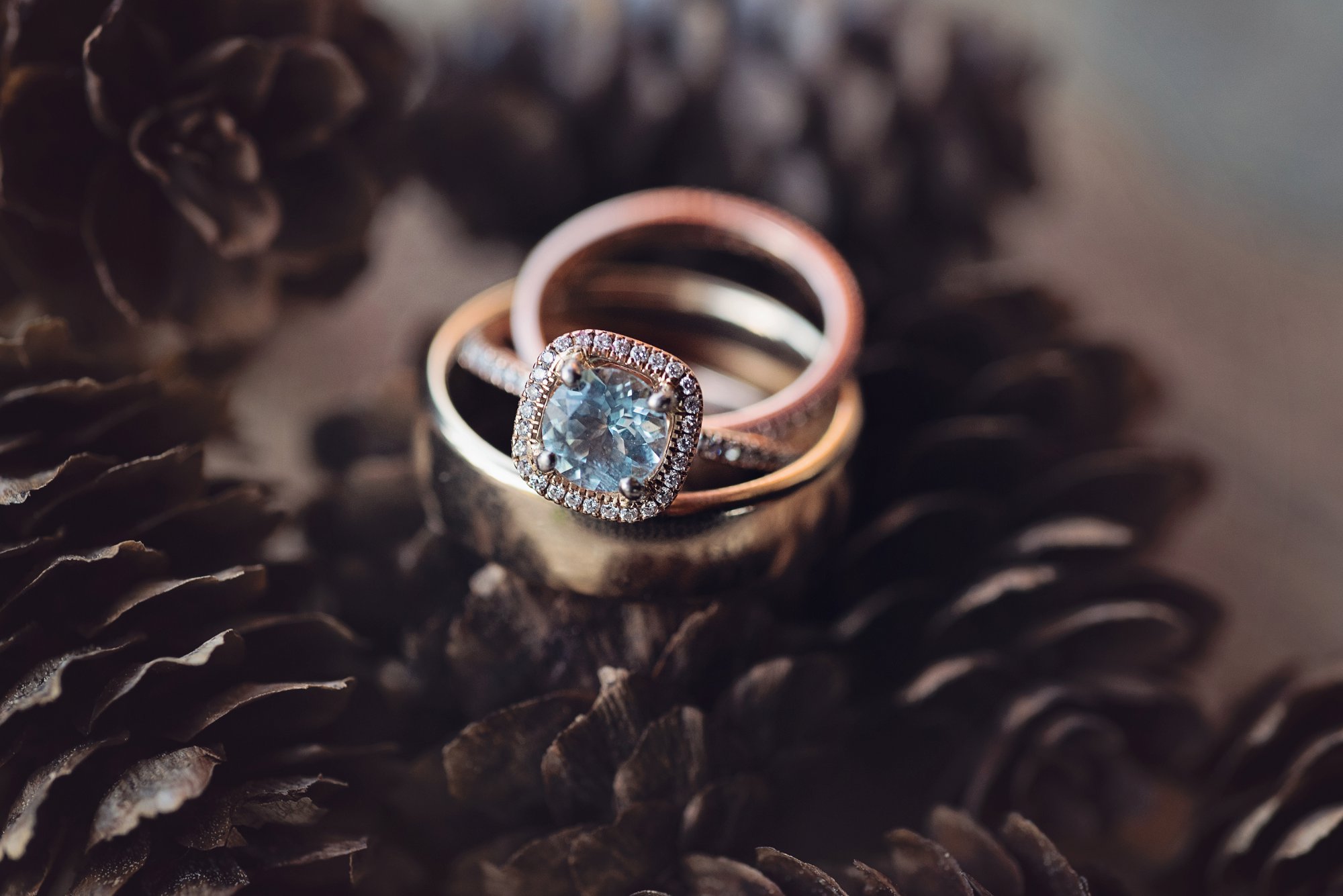 elizabeth-ann-photography_2714