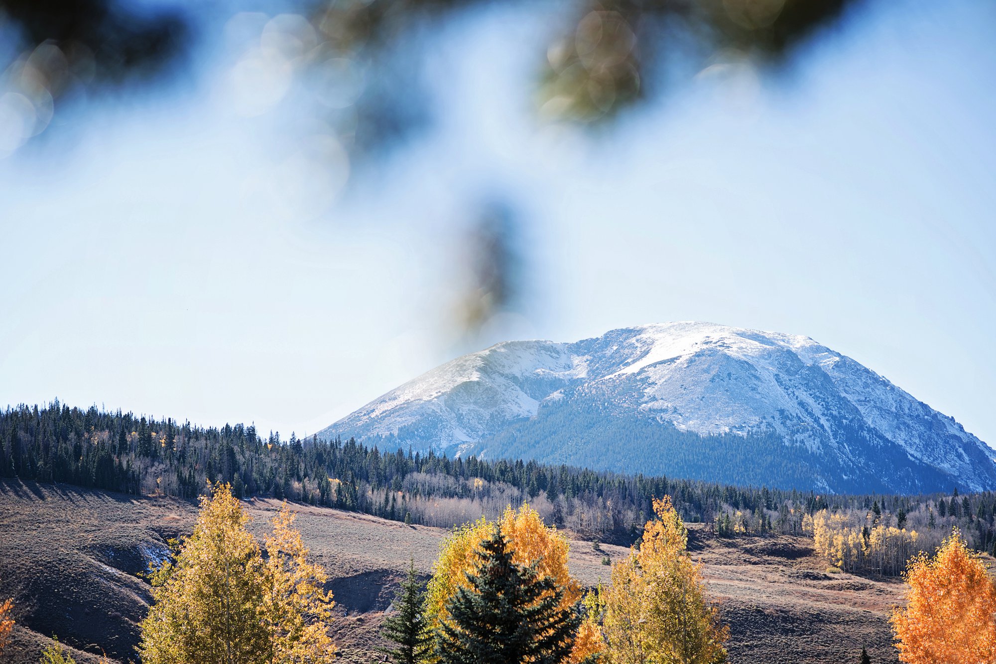 elizabeth-ann-photography_2973