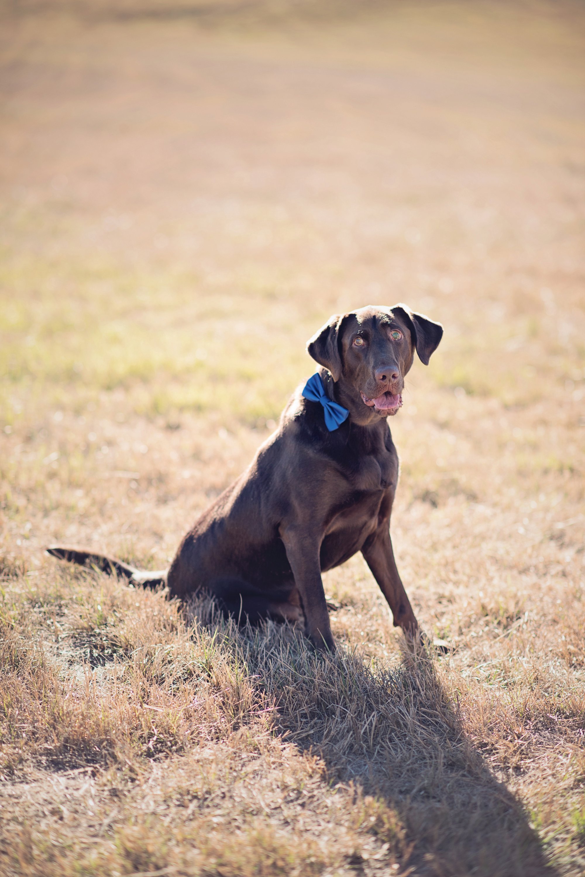 elizabeth-ann-photography_2990