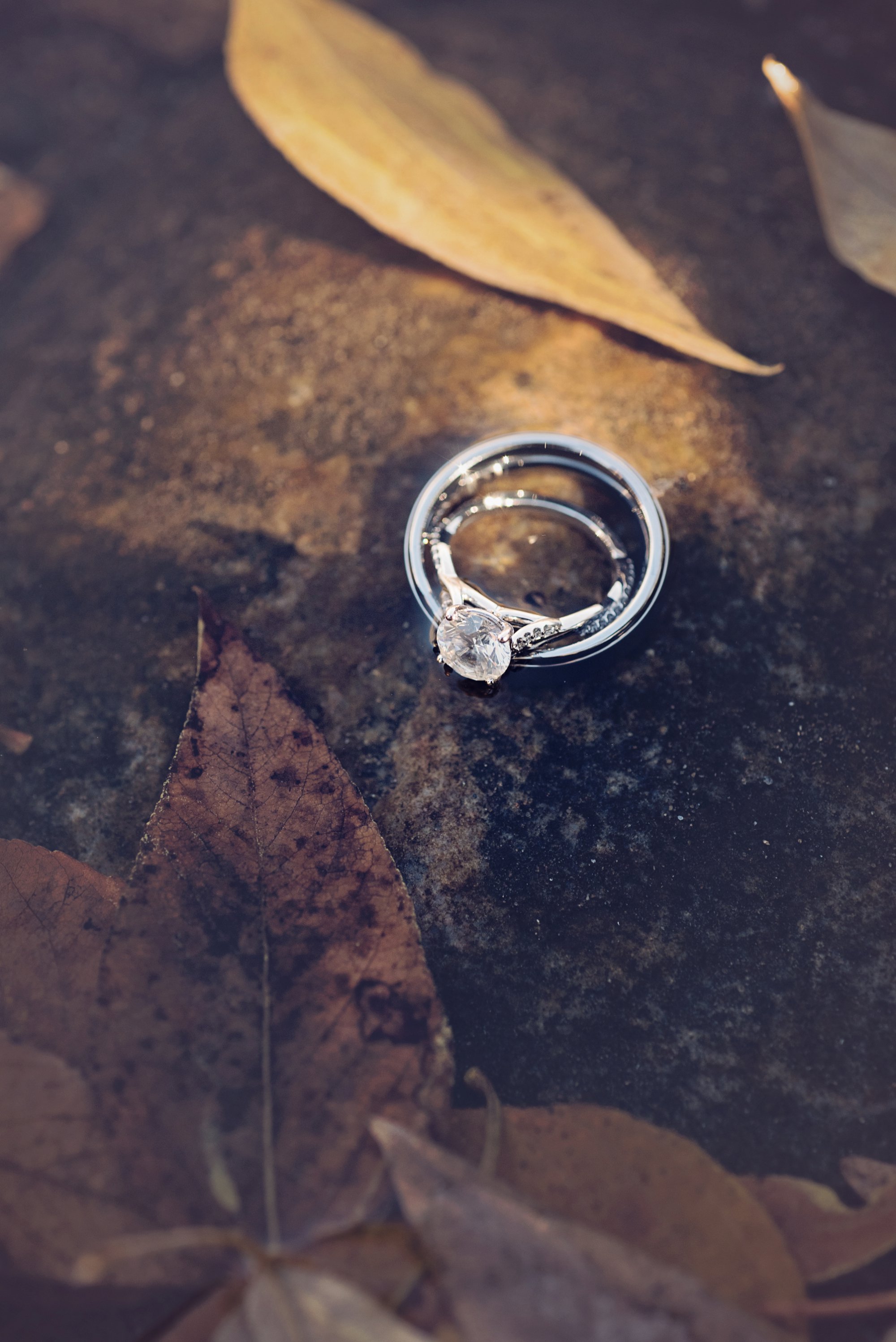 elizabeth-ann-photography_3010