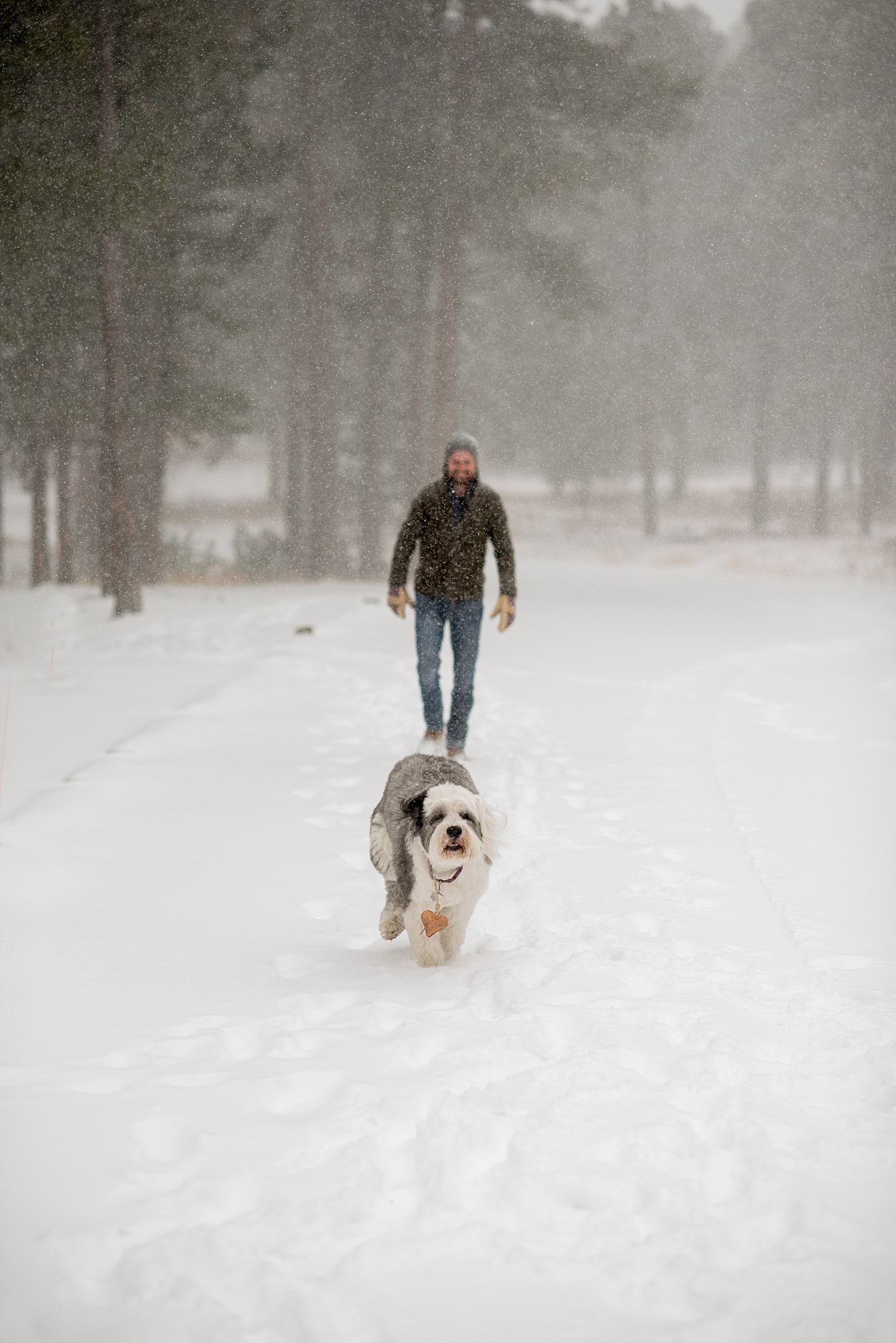 Denver Wedding Photographer, Colorado Engagement, Snow Engagement, Forest Engagement, Engaged in Colorado, Elizabeth Ann Photography_0946