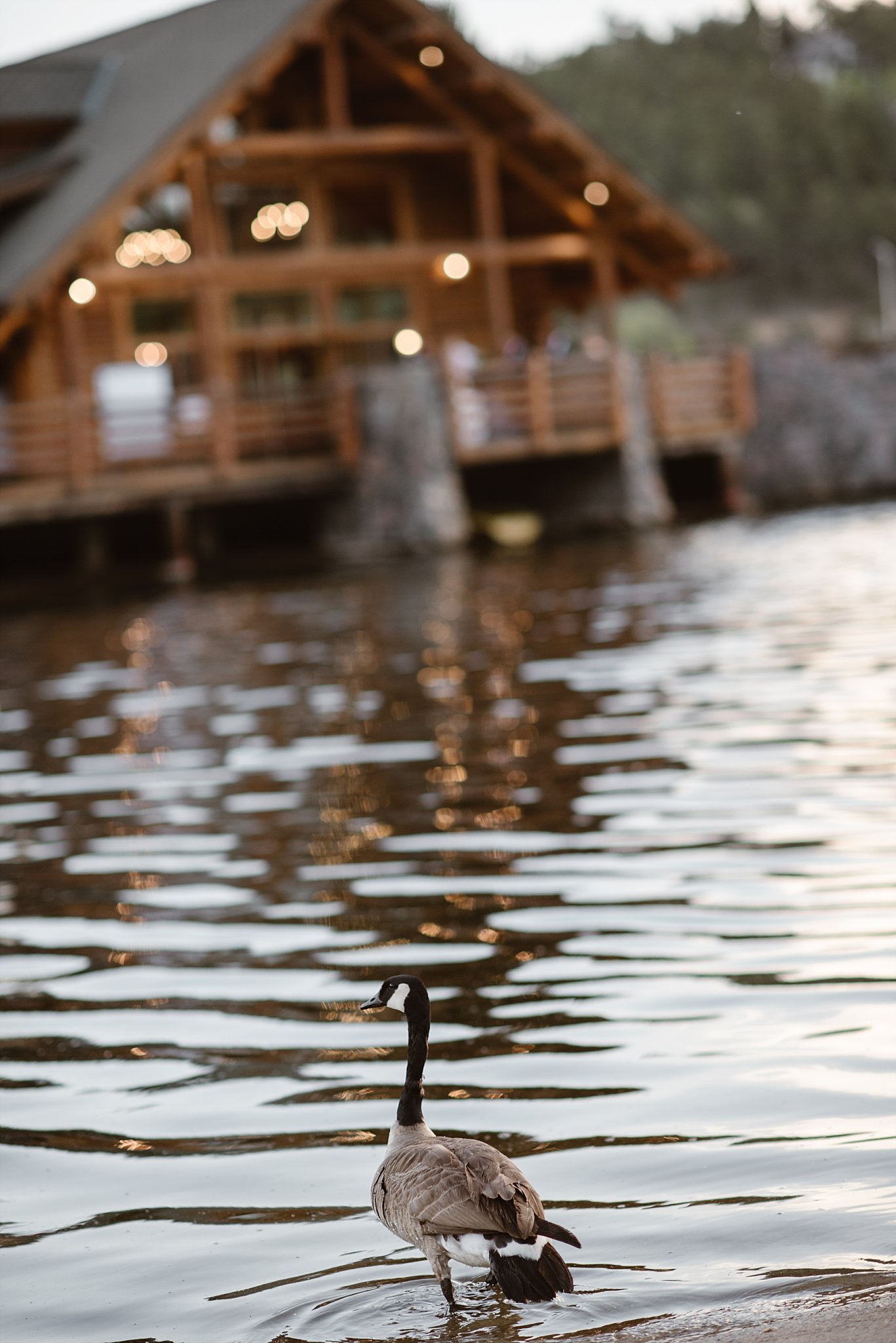 Elizabeth Ann Photography, Evergreen Lake House_3231