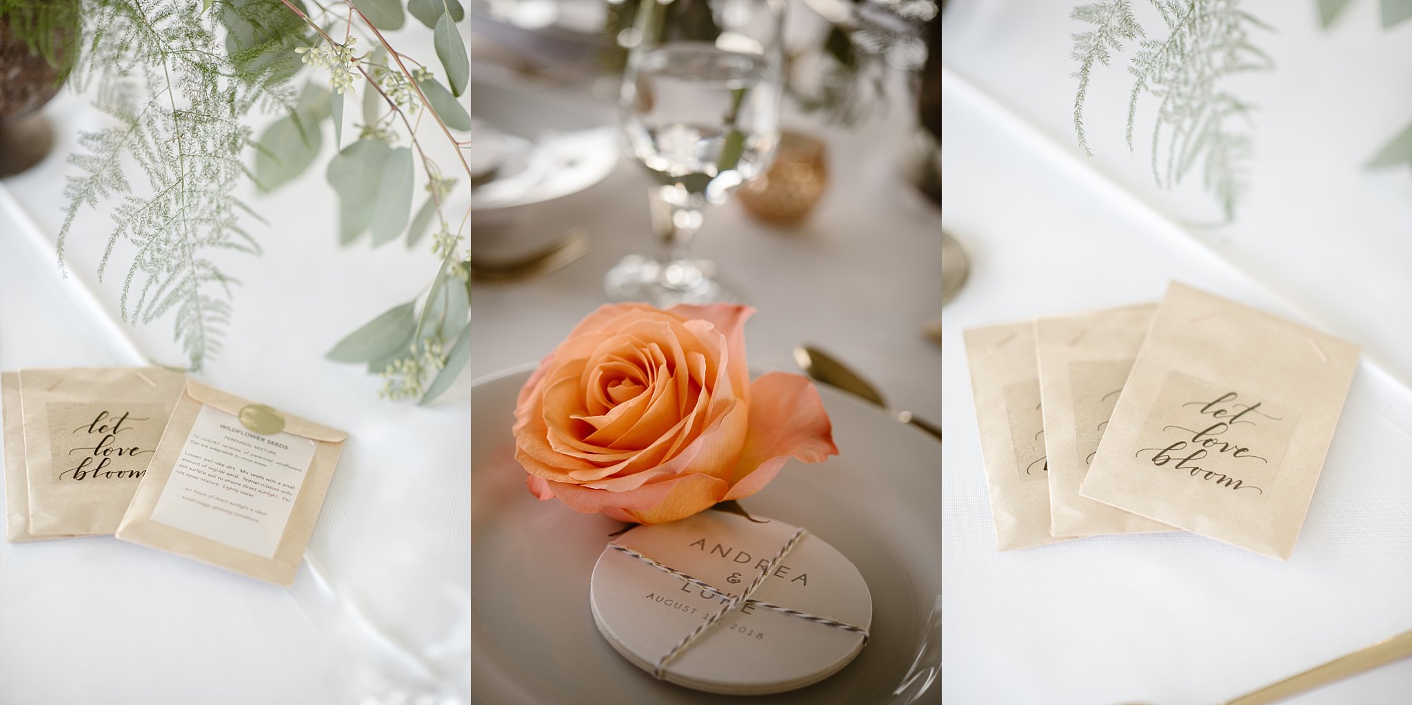 Denver Wedding, Elizabeth Ann Photography_4028 Denver Wedding Photographer