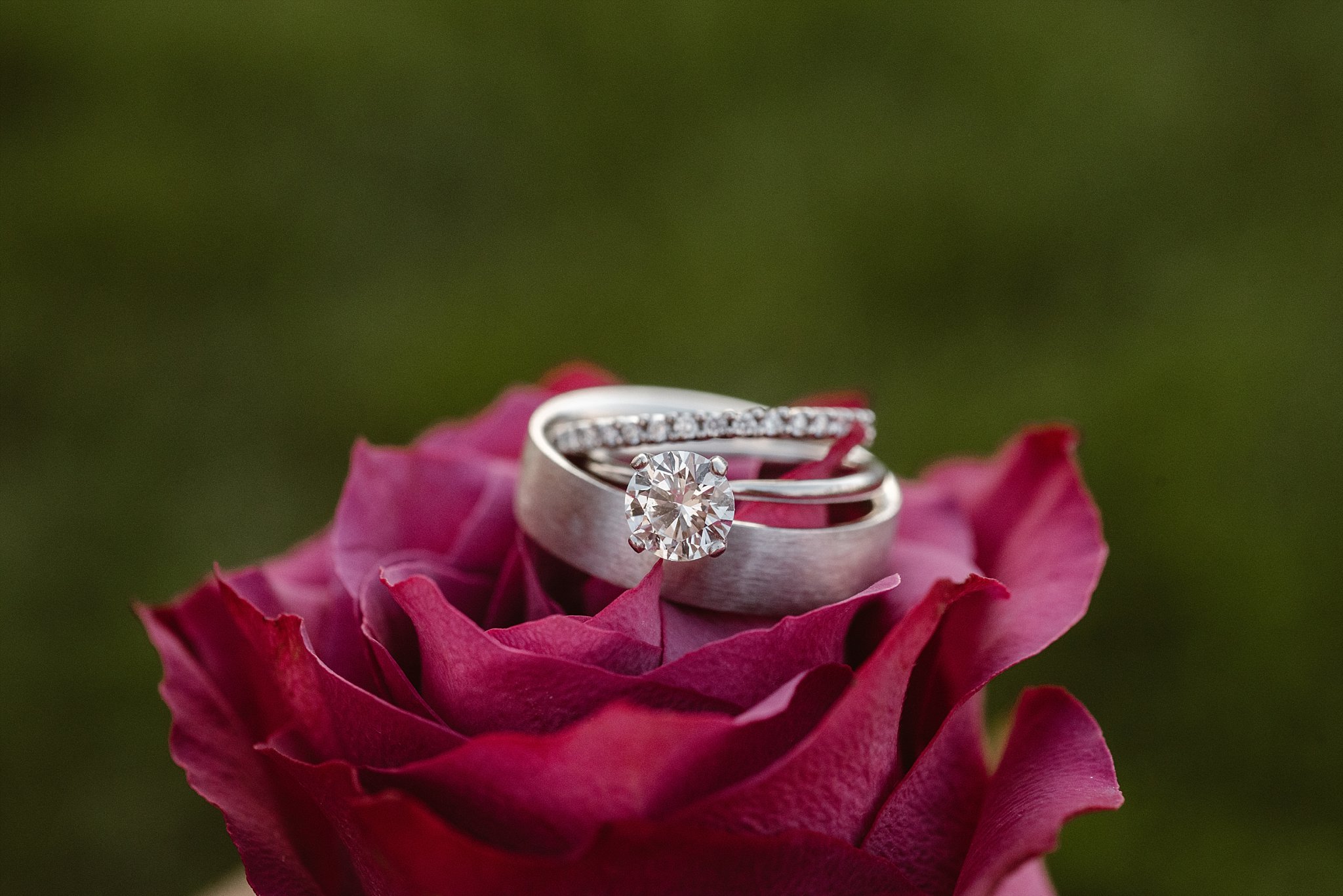 Denver Wedding, Elizabeth Ann Photography_4037 Denver Wedding Photographer