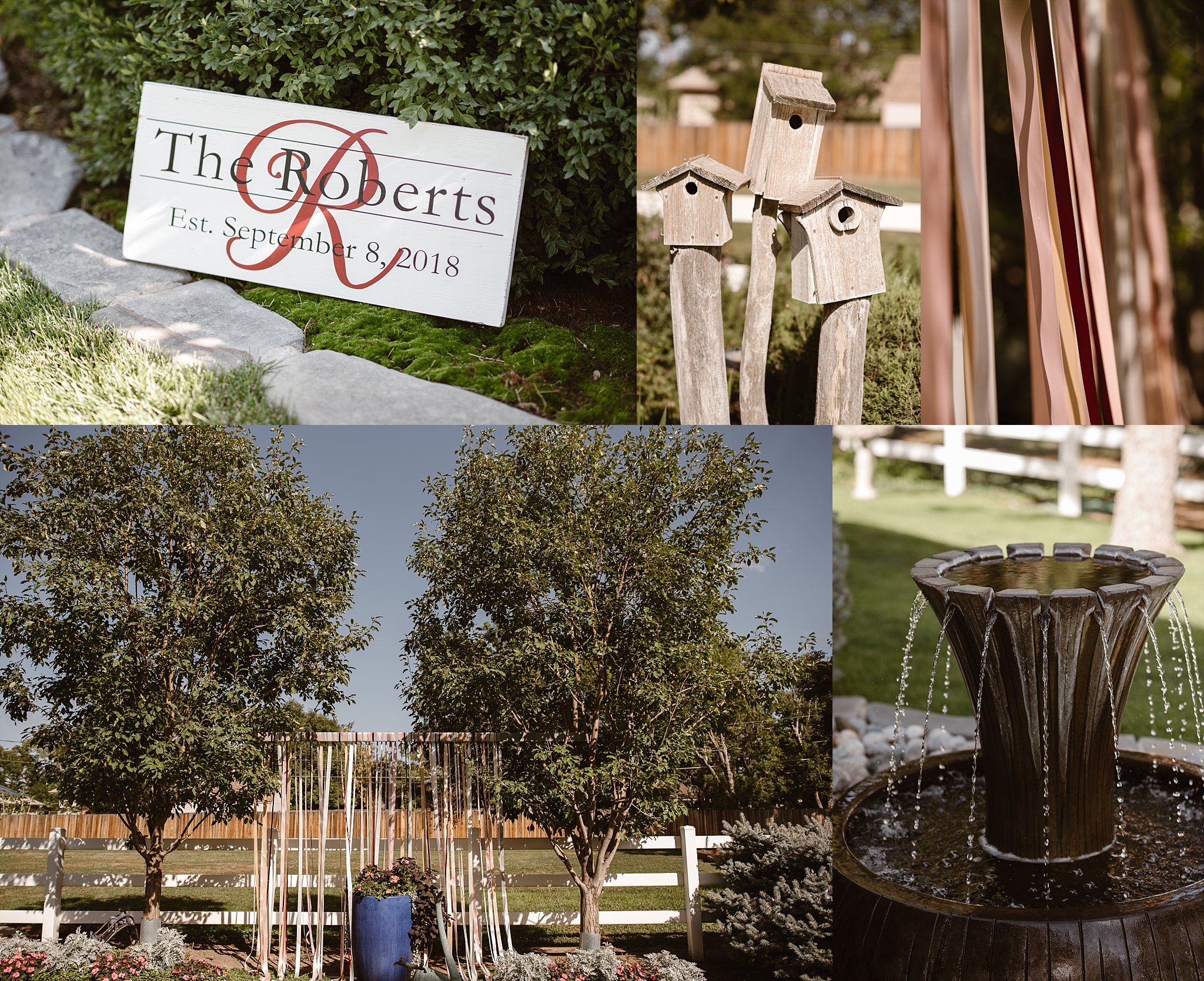 Denver Backyard Wedding