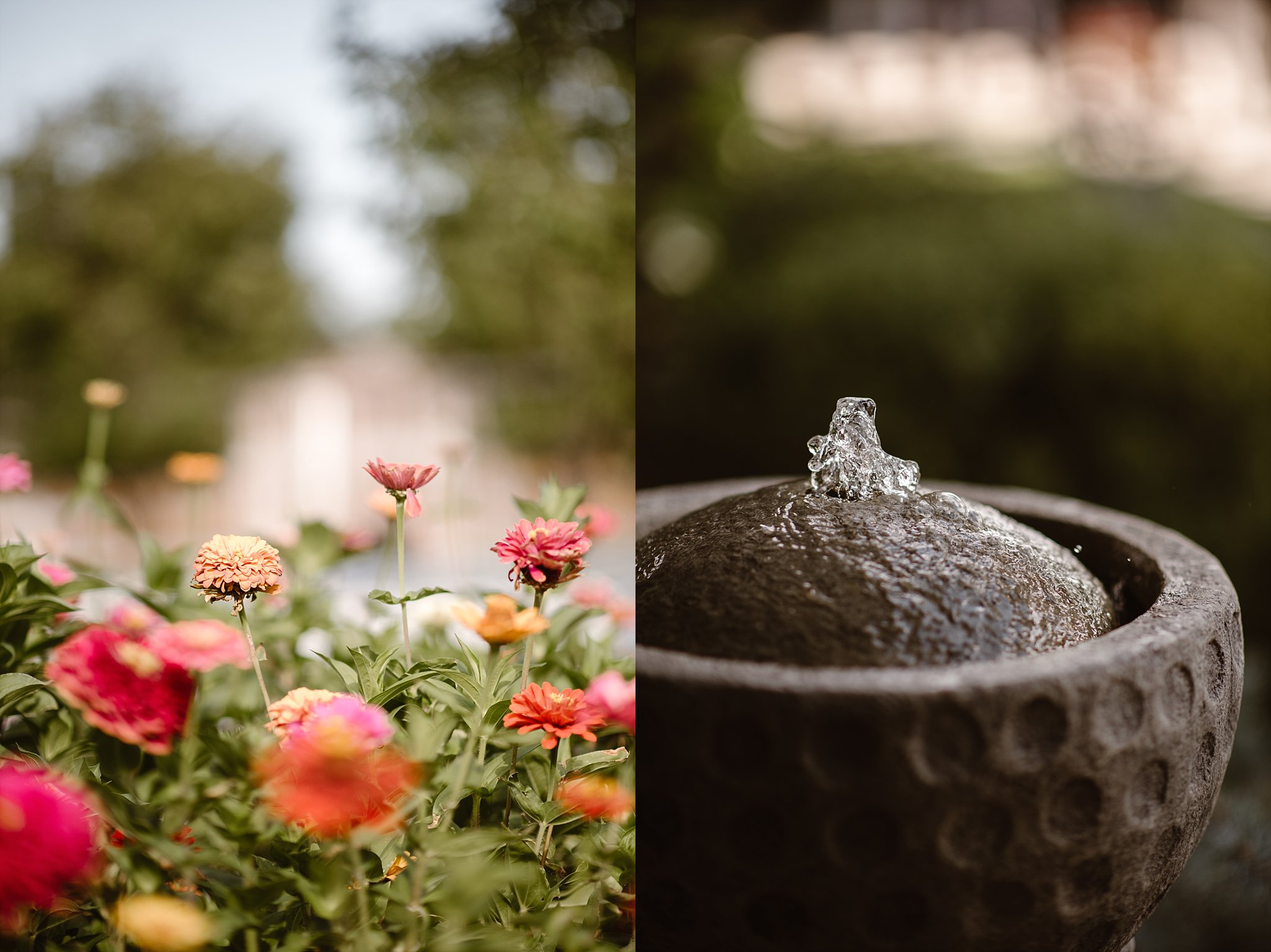 Denver Backyard Wedding