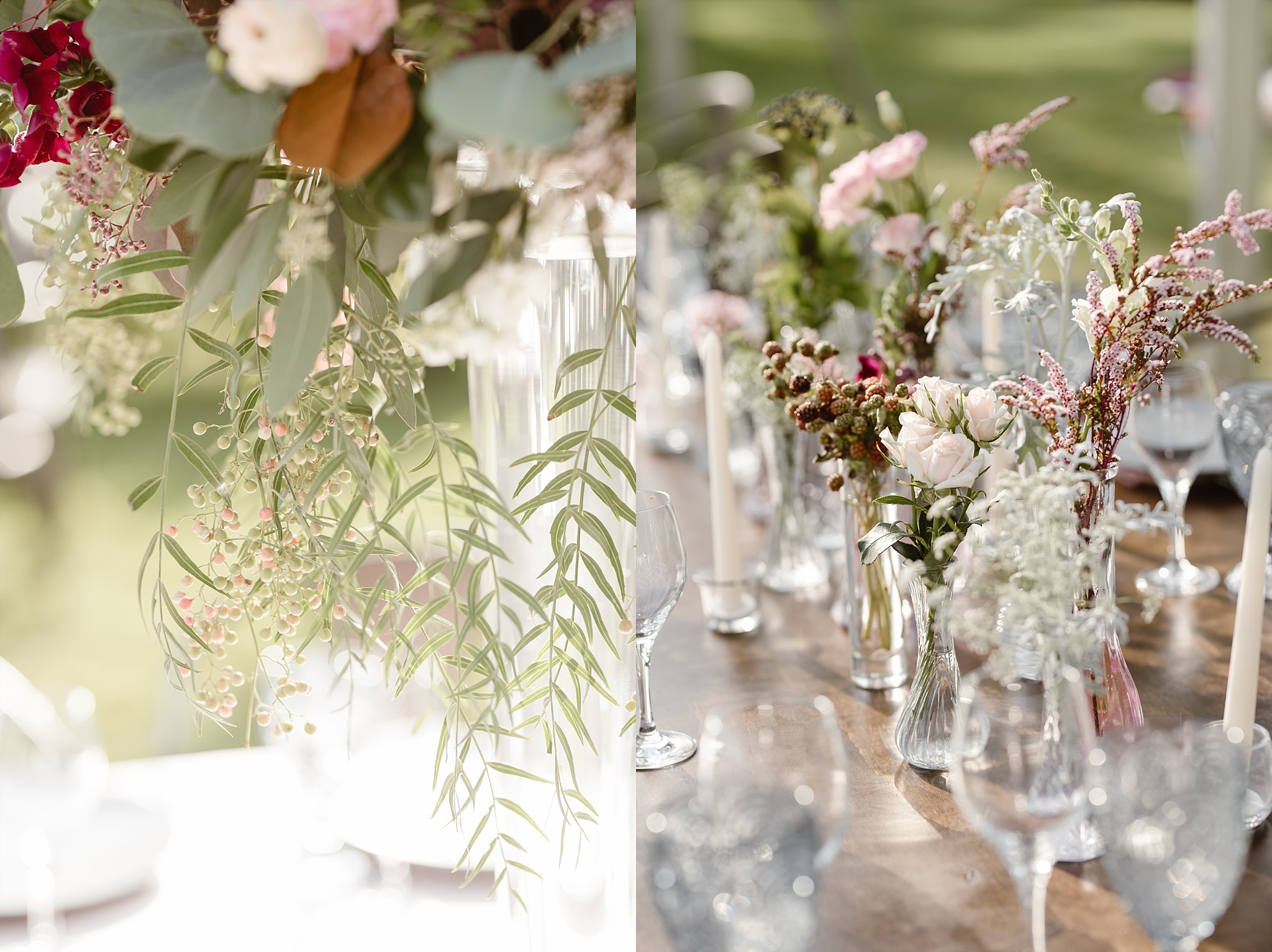 Denver Backyard Wedding