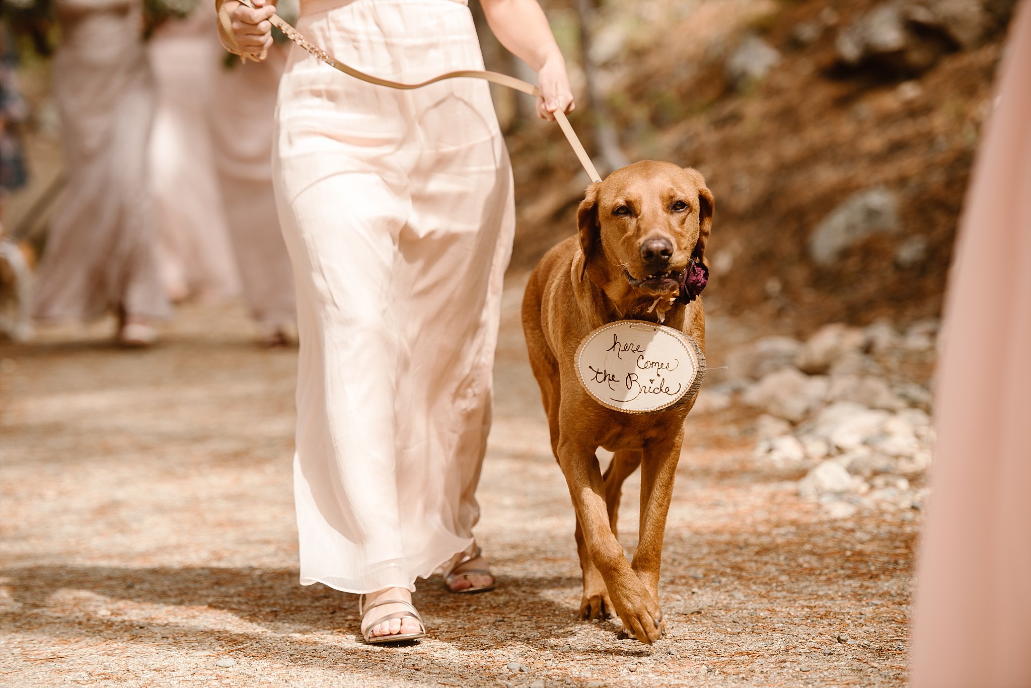 Winter Park Lodge Wedding