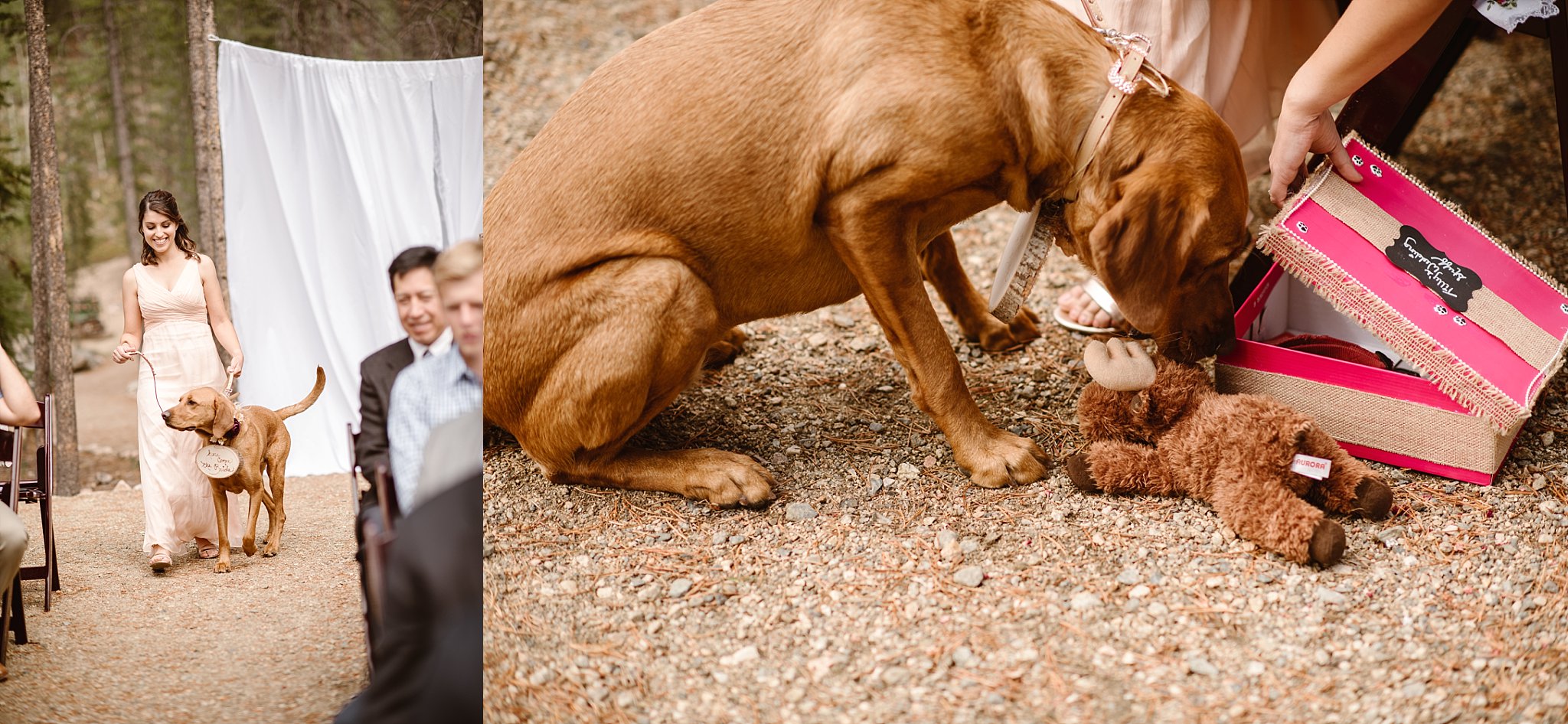 Winter Park Lodge Wedding
