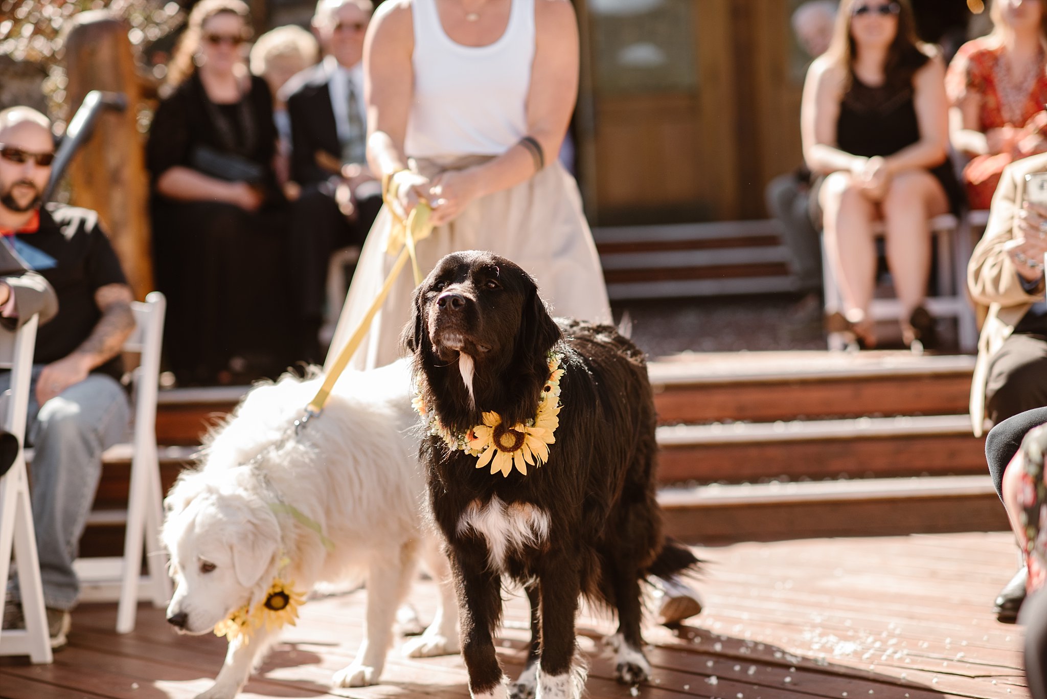 Evergreen Lakehouse Wedding