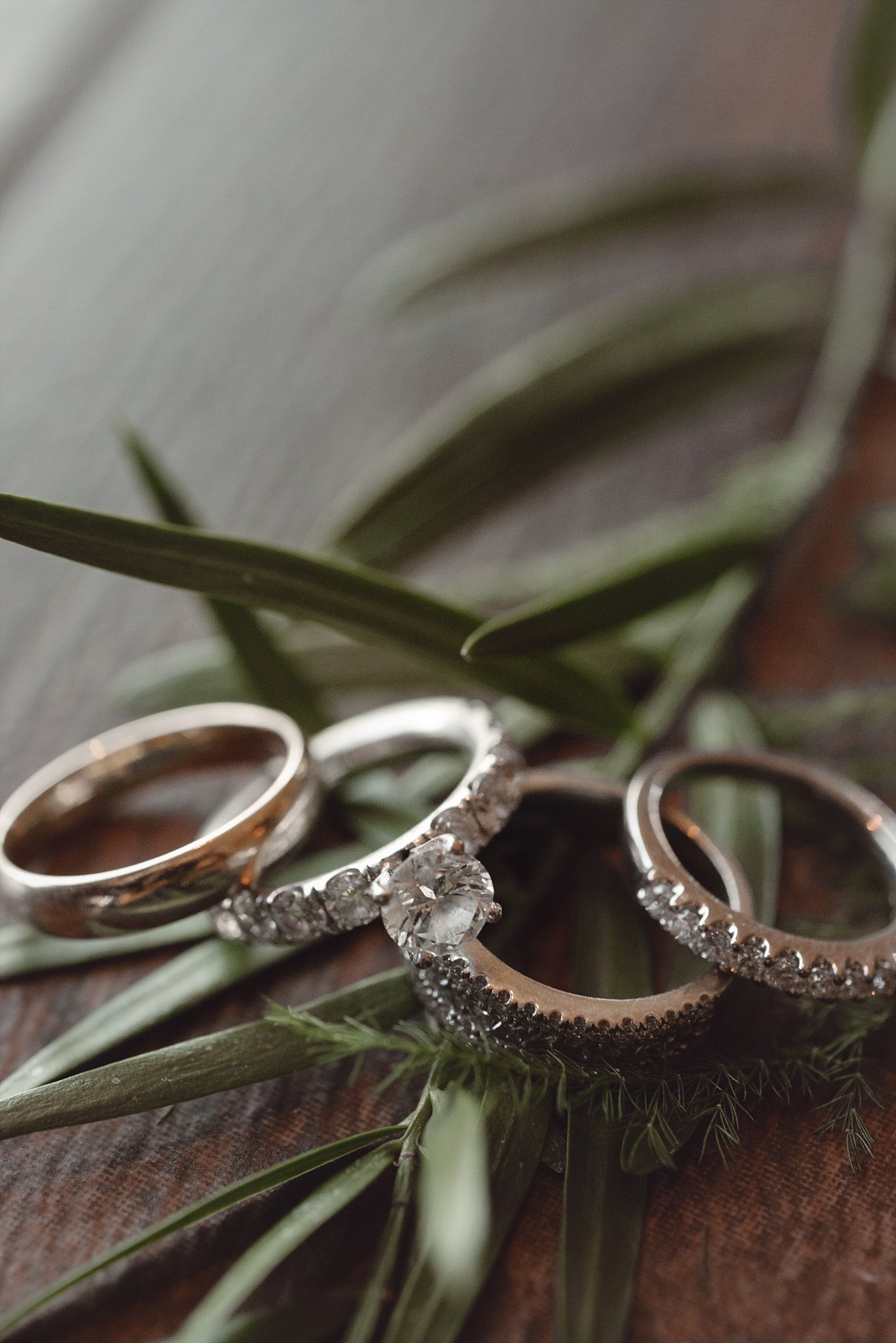 The Pinery at the Hill