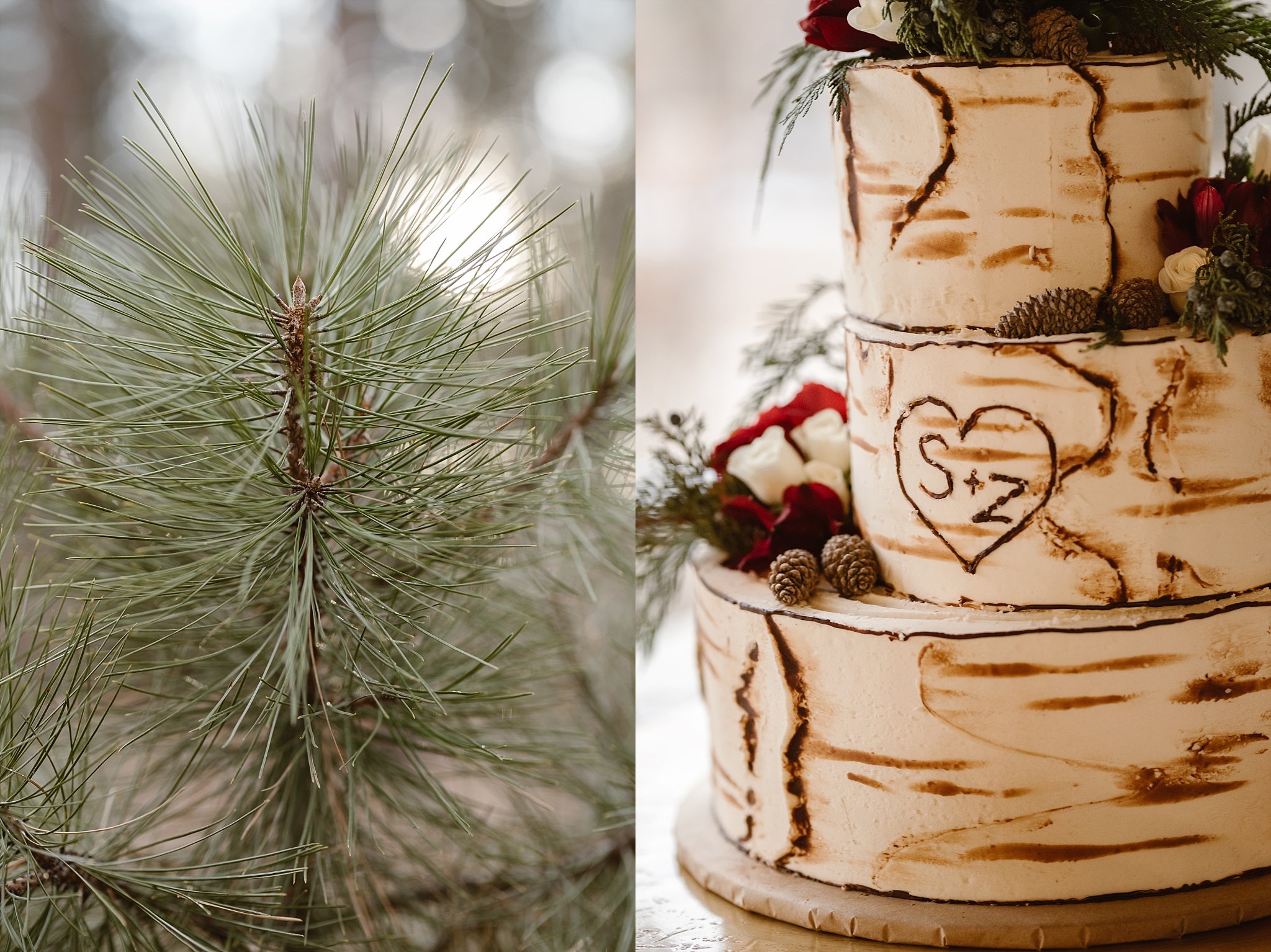 Wedgewood at Black Forest Wedding, Denver Wedding Photographer