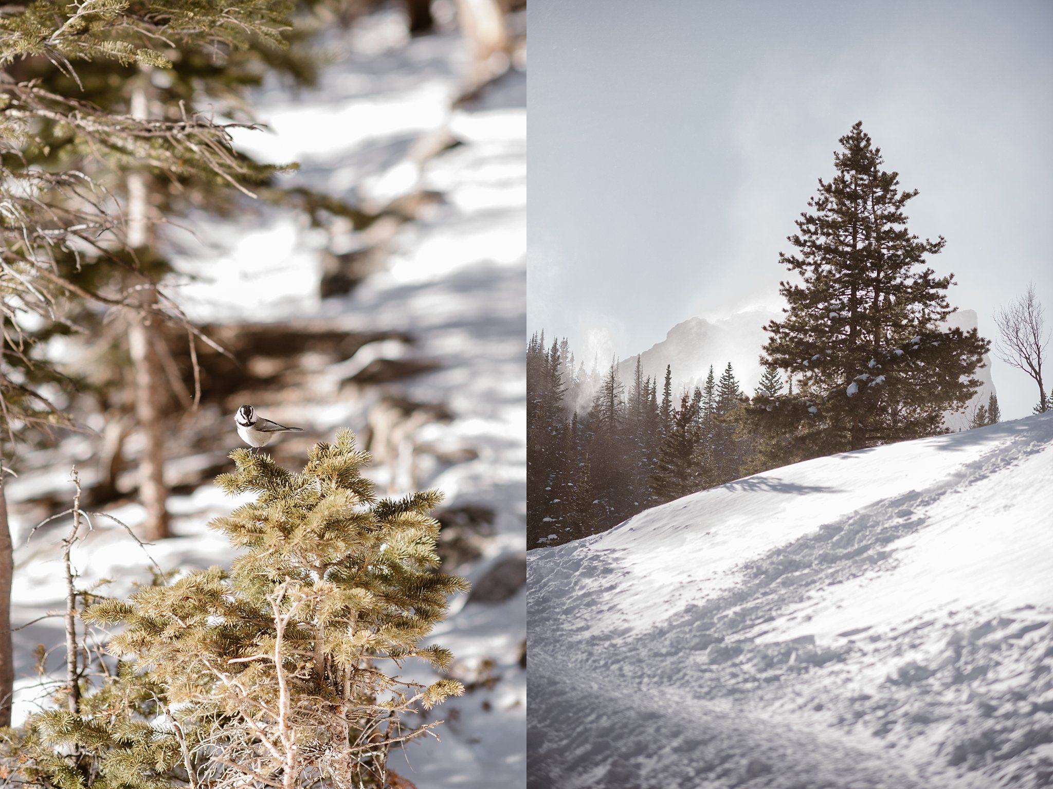Rocky Mountain National Park, Dream Lake