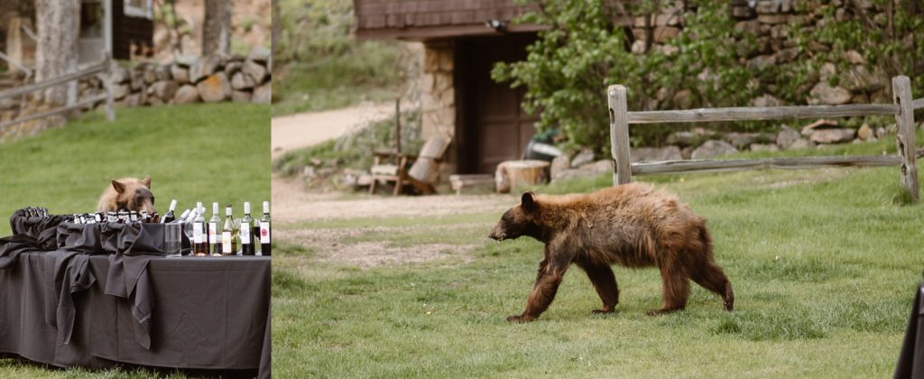Wedgewood Boulder Wedding