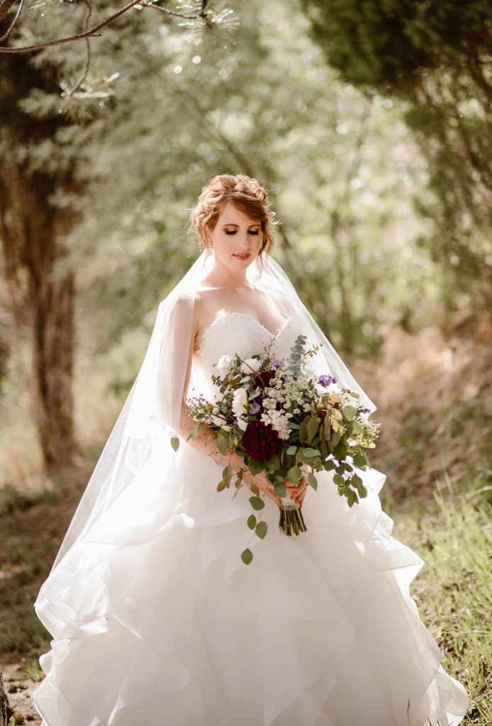 Cheyenne Mountain Resort Wedding