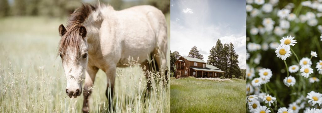 Pagosa Springs Wedding, Denver Wedding Photographer