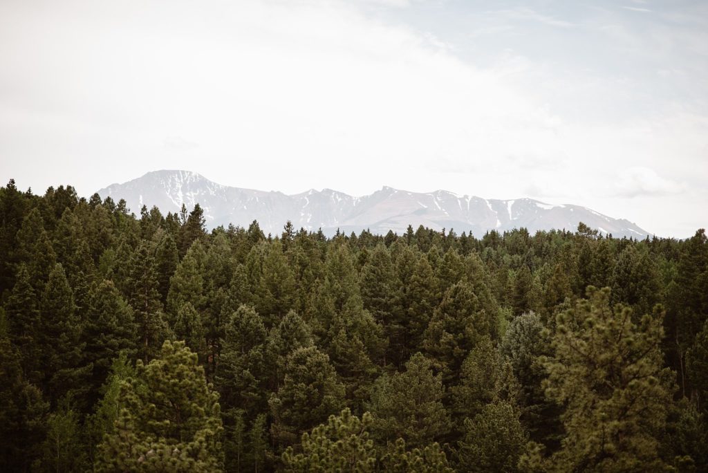 Edgewood Inn, Woodland Park Wedding