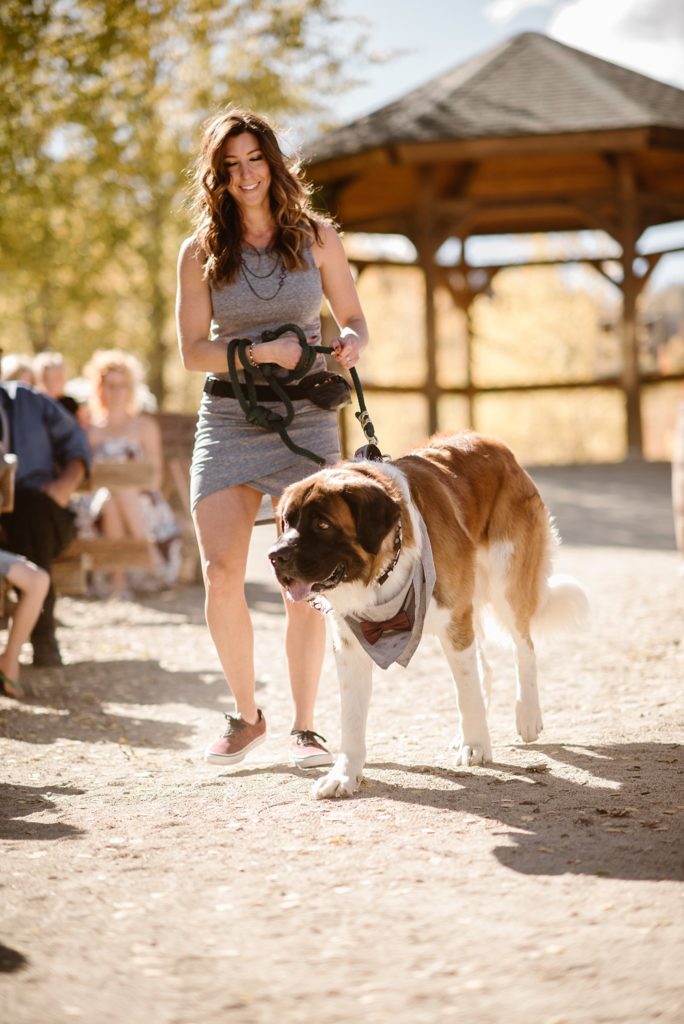Snow Mountain Ranch YMCA Wedding