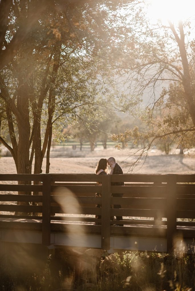 Colorado Springs Engagement Photos