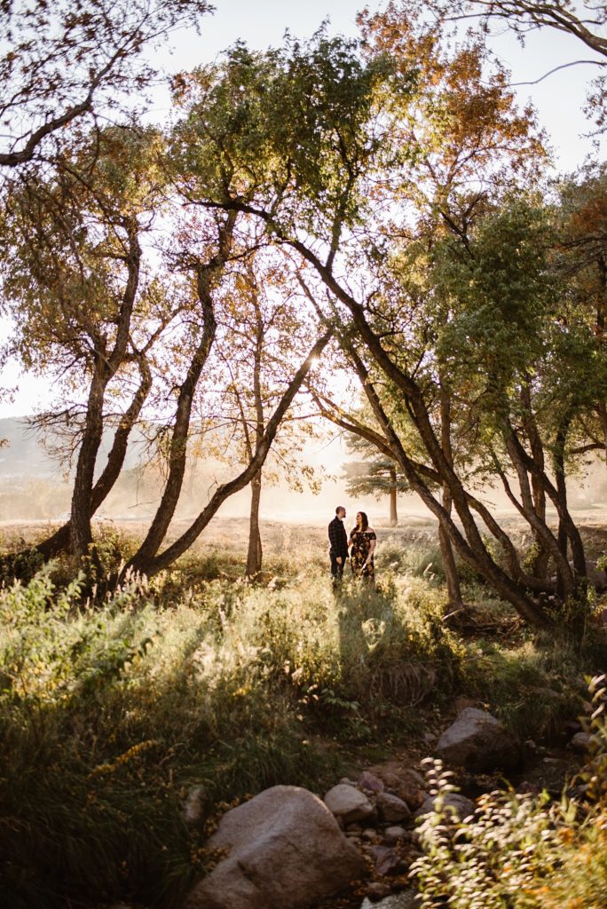 Colorado Springs Engagement Photos