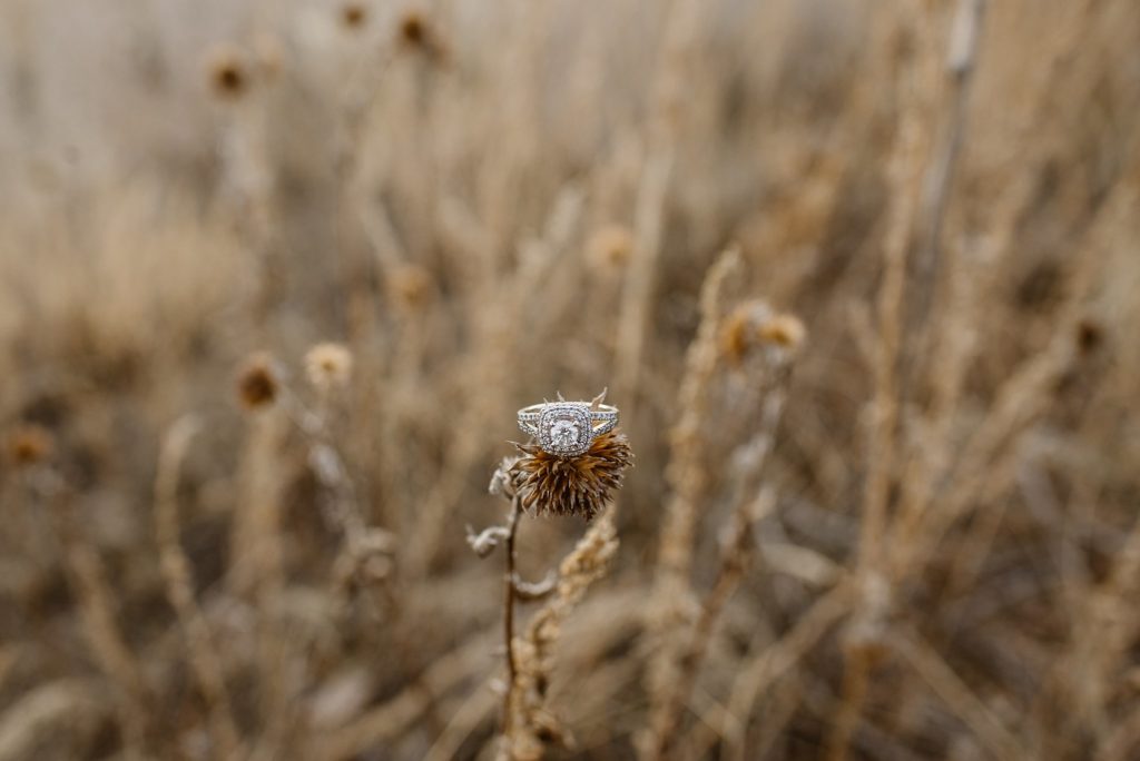 Colorado Springs Engagement Photos