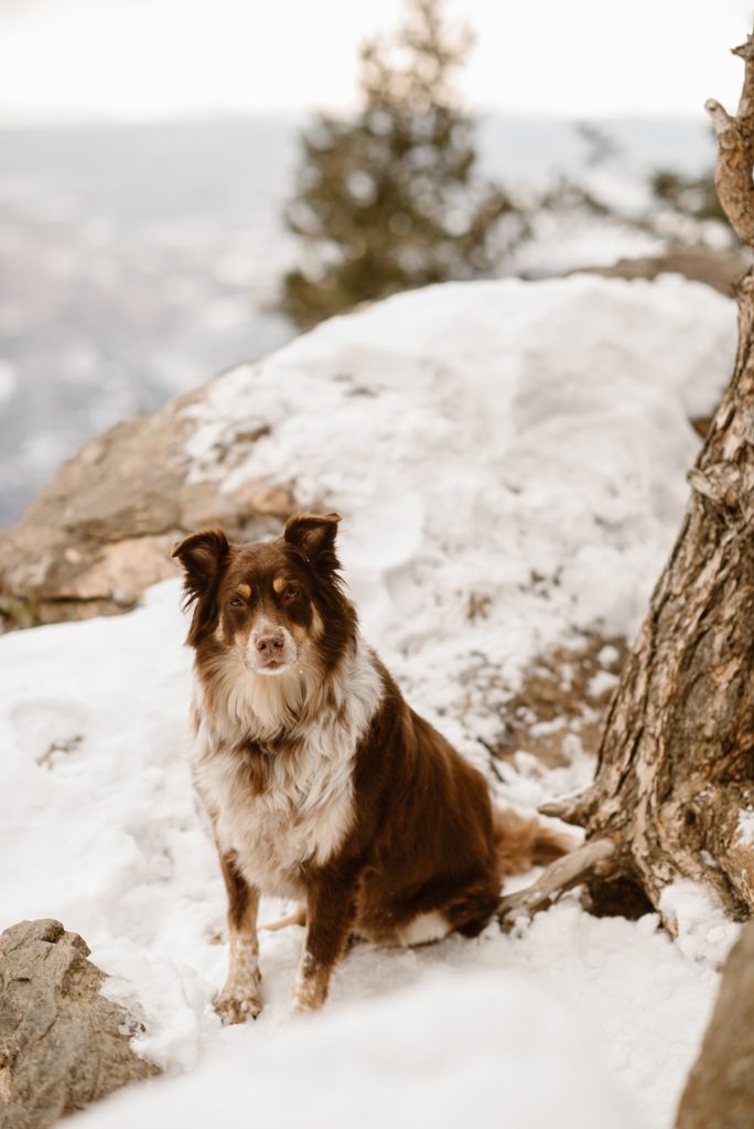 Denver Engagement Photos