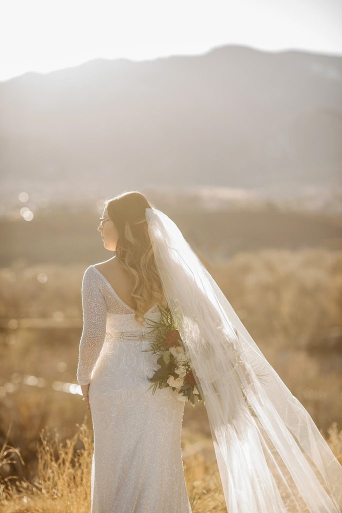 The Pinery at the Hill Wedding 