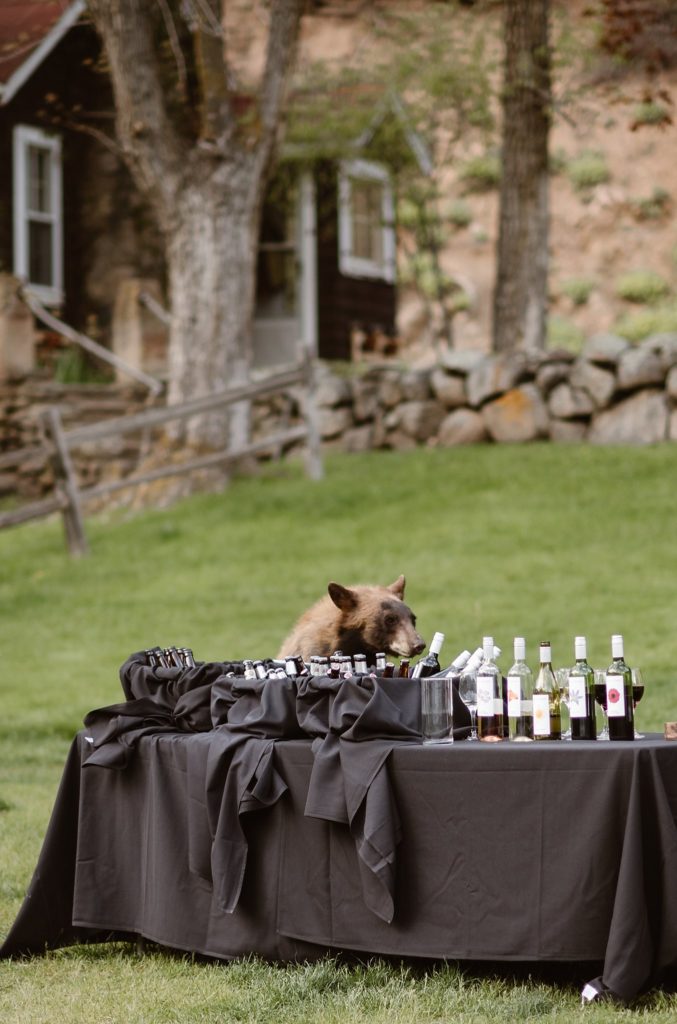 Denver Wedding Photographer, Colorado Springs Wedding Photographer