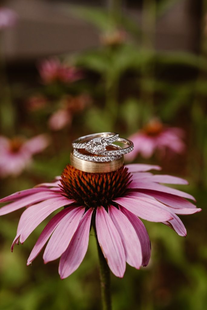 Denver Backyard Wedding