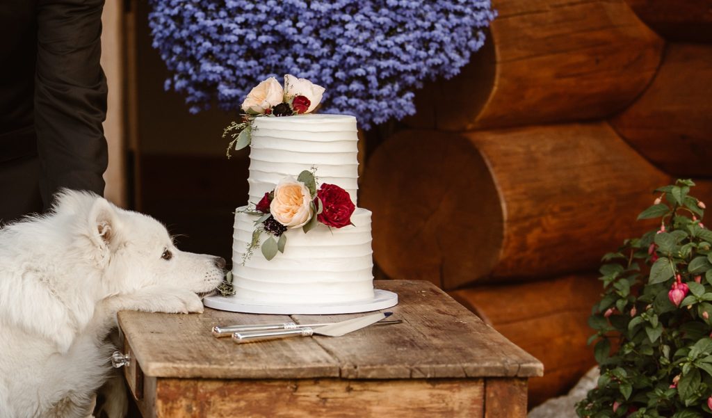 Breckenridge Micro Wedding