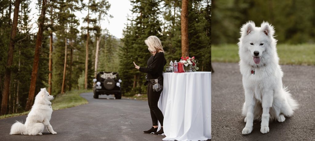 Breckenridge Micro Wedding
