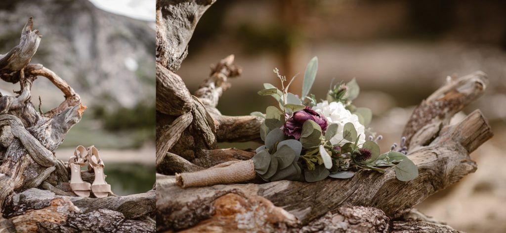 St.Mary's Glacier Elopement