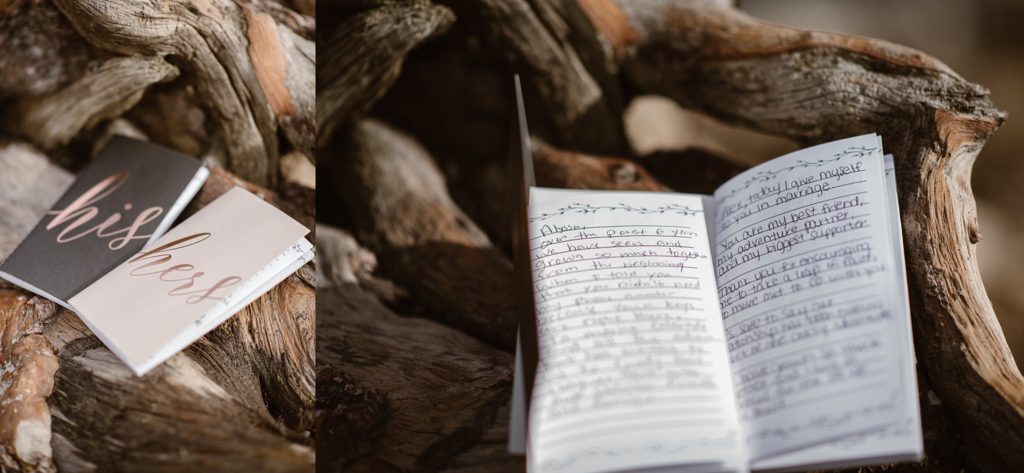 St.Mary's Glacier Elopement