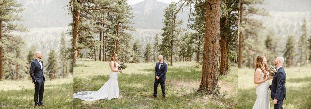 Della Terra Mountain Chateau Wedding