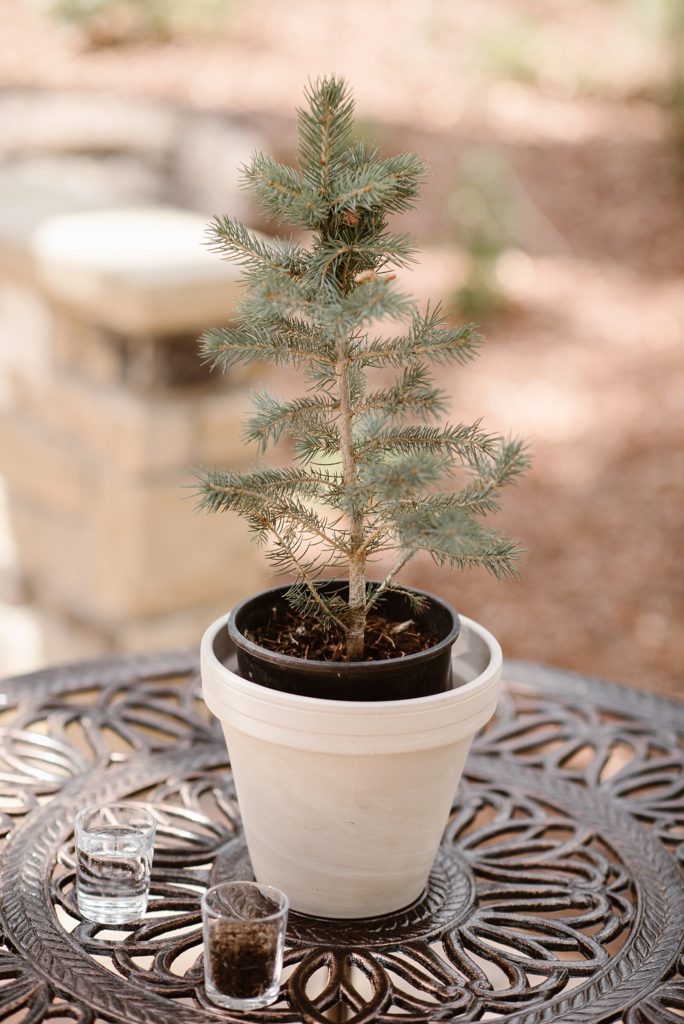 Della Terra Mountain Chateau Wedding