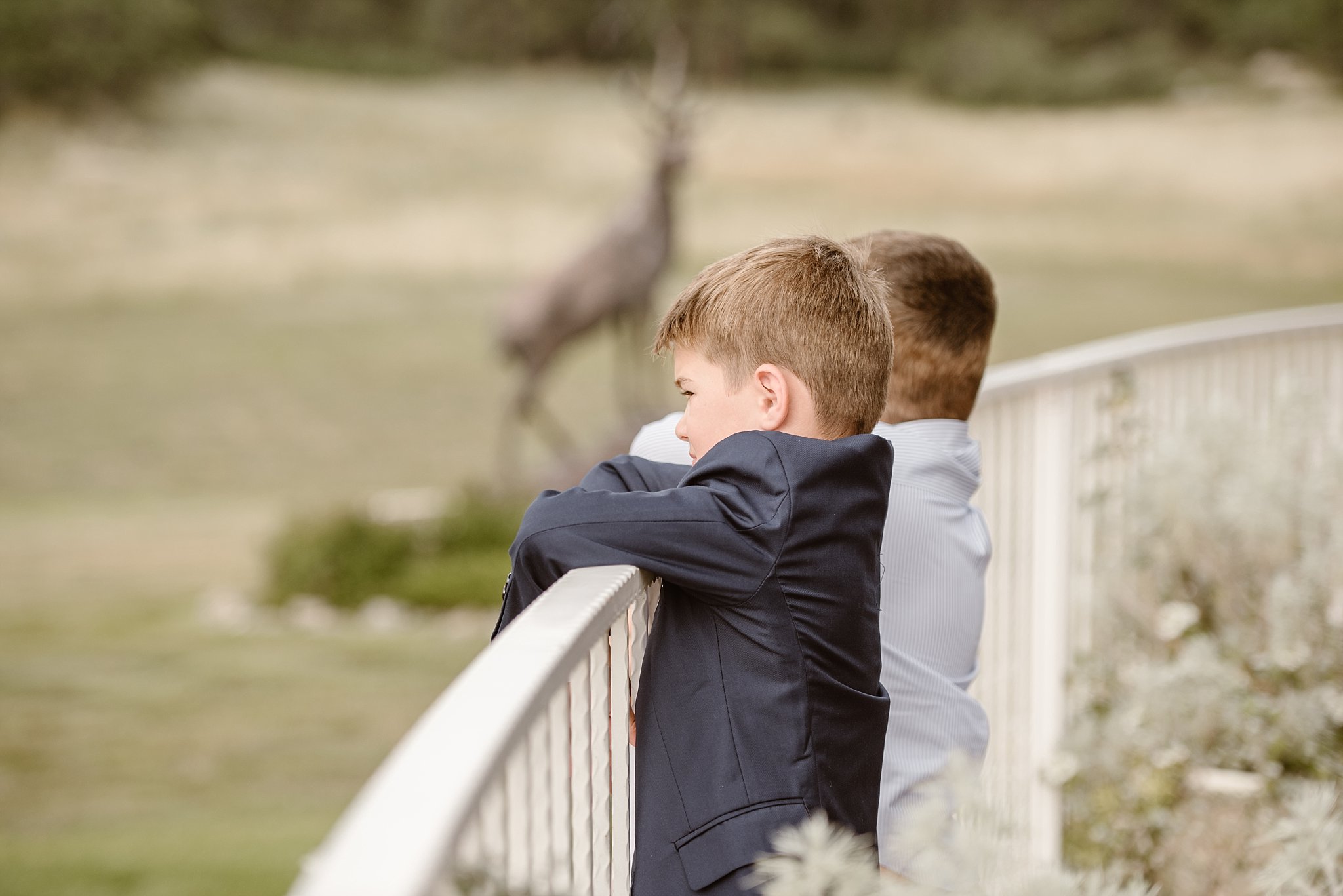Flying Horse Ranch Wedding