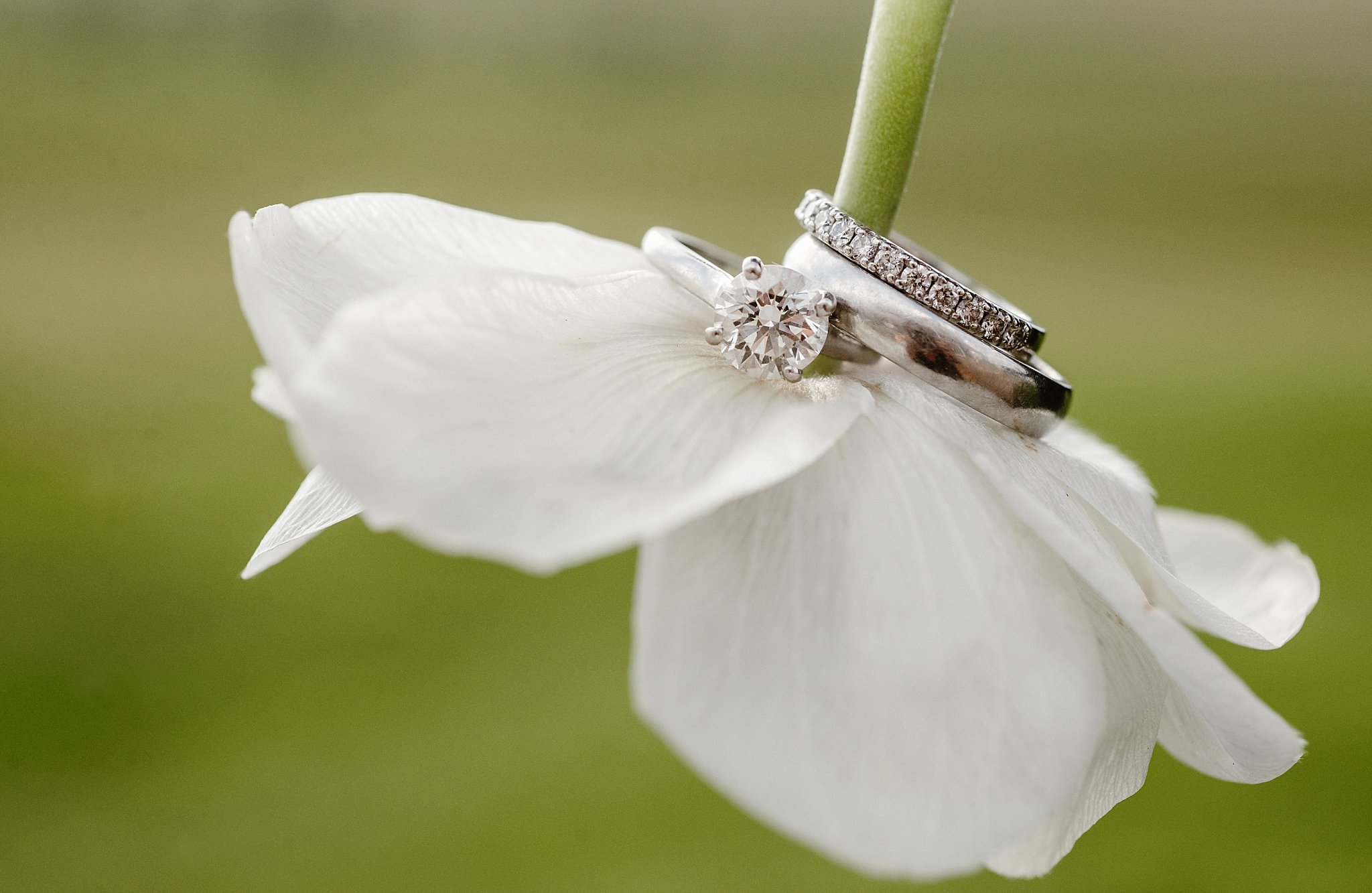 Flying Horse Ranch Wedding