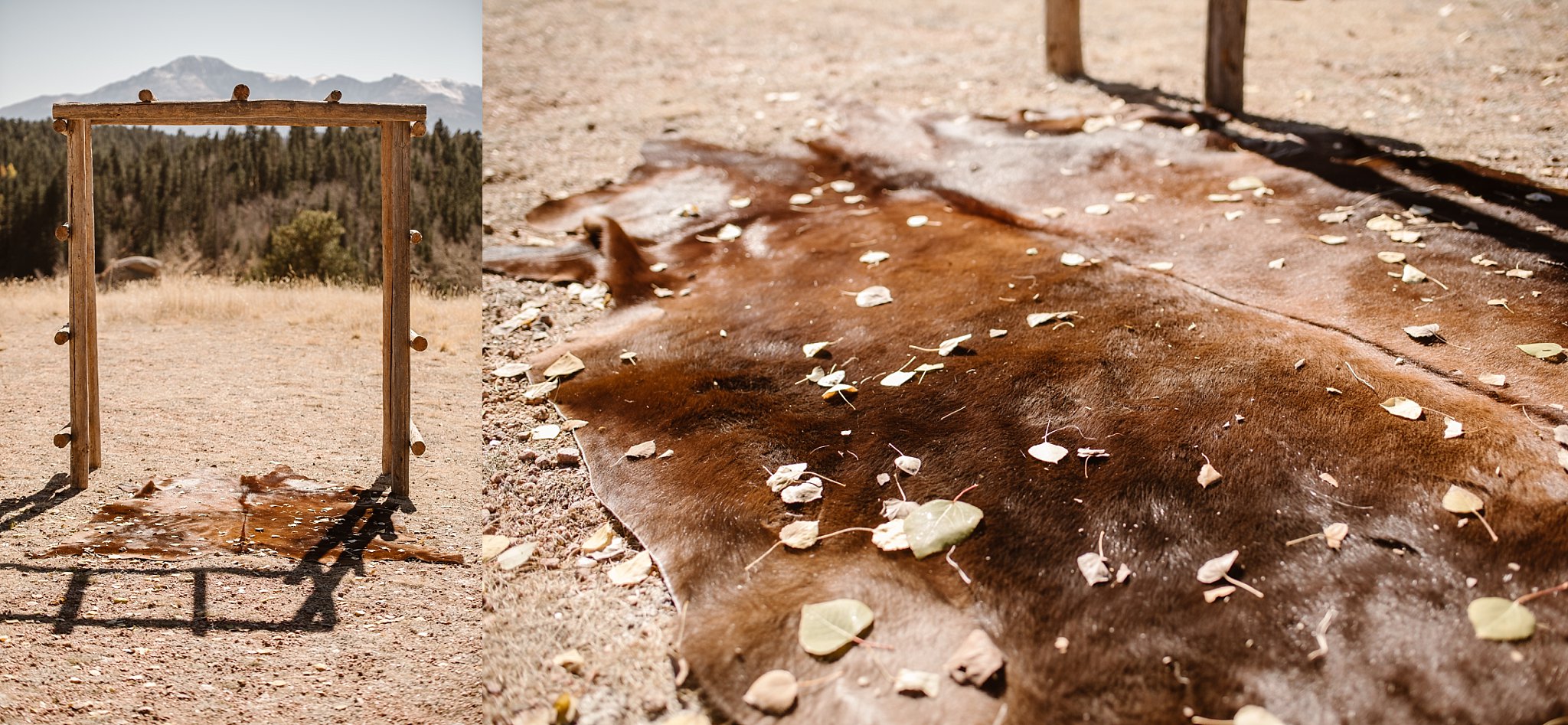 Farish Recreation Center Woodland Park
