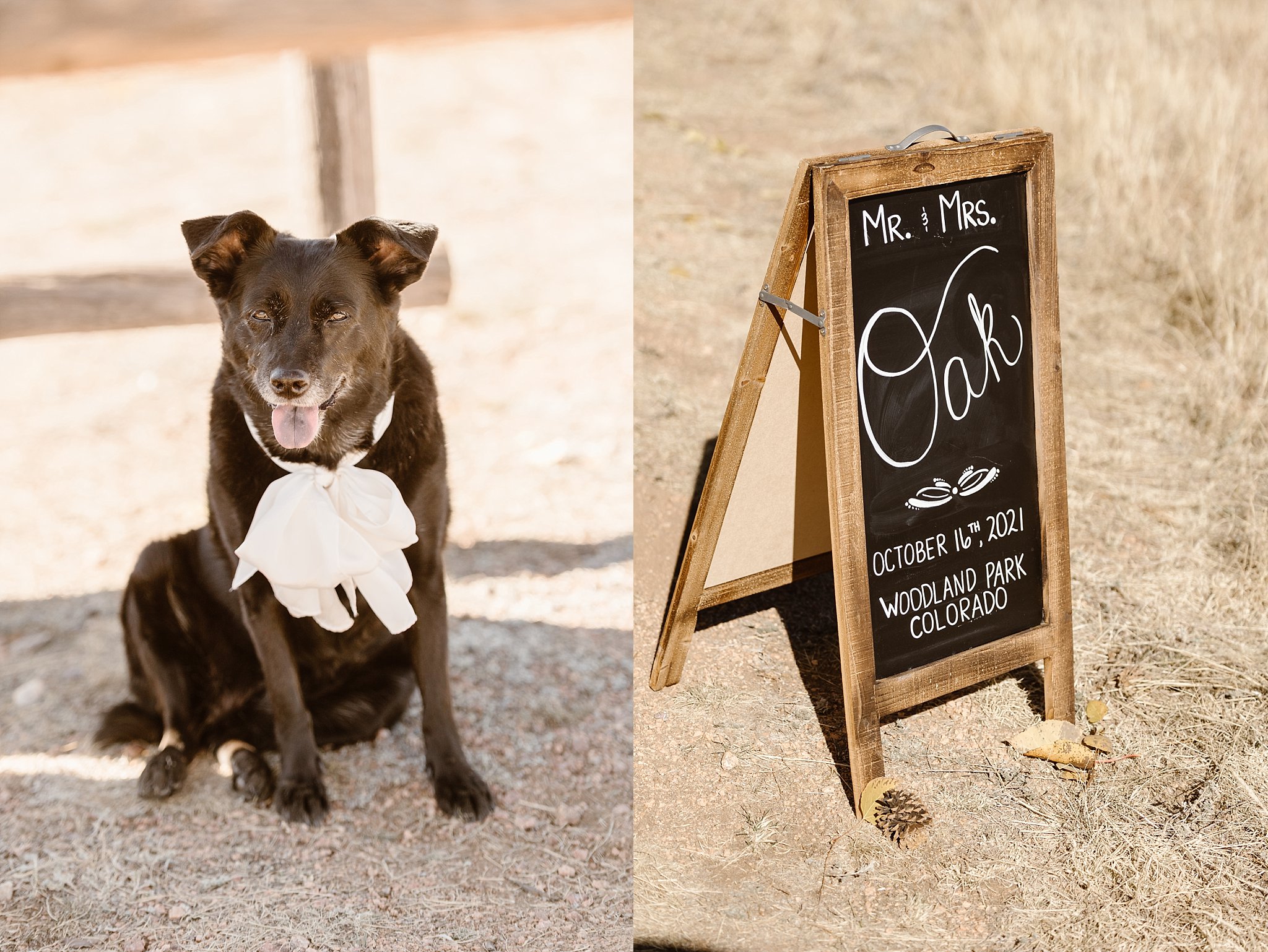 Farish Recreation Center Woodland Park