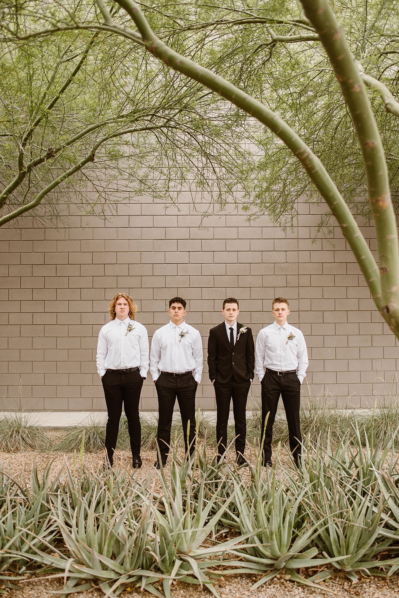 Arizona Wedding Photographer