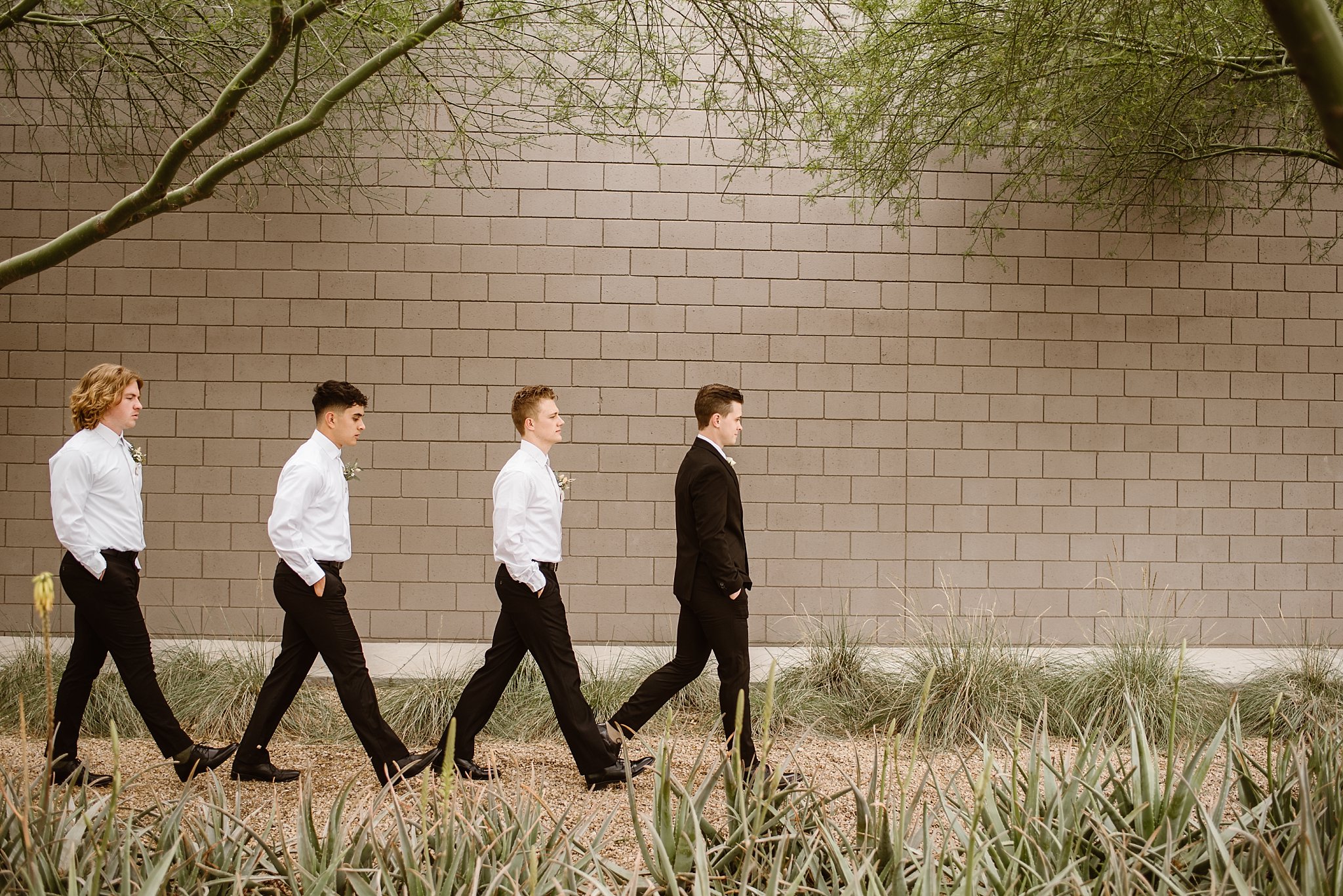 Arizona Wedding Photographer