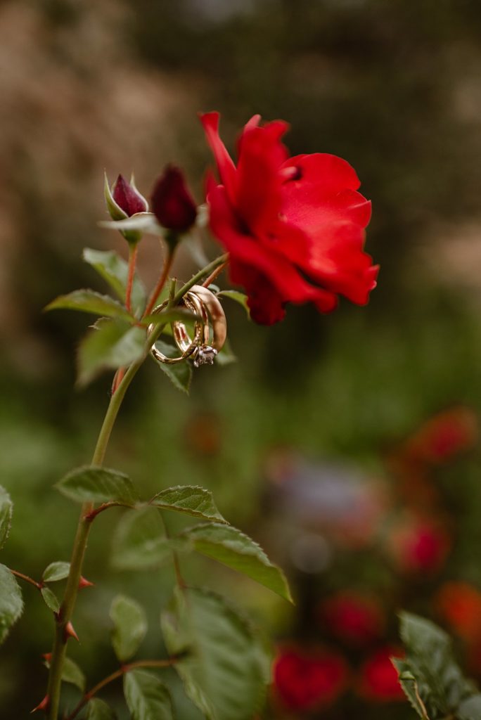 Cherokee Ranch and Castle Wedding 