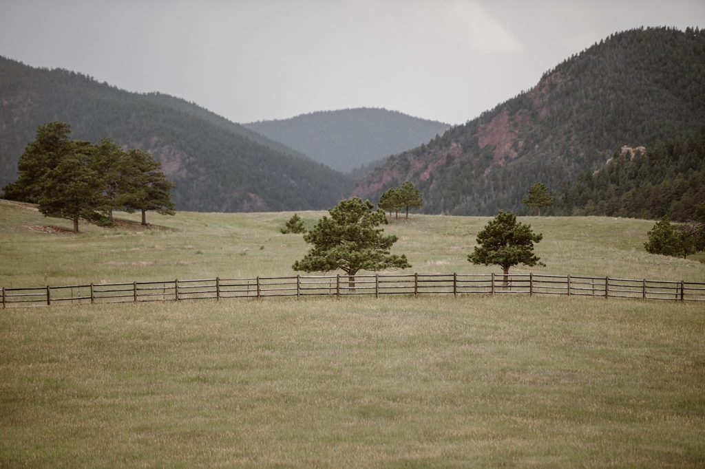 Spruce Mountain Wedding 