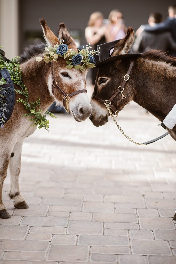 Spruce Mountain Wedding 