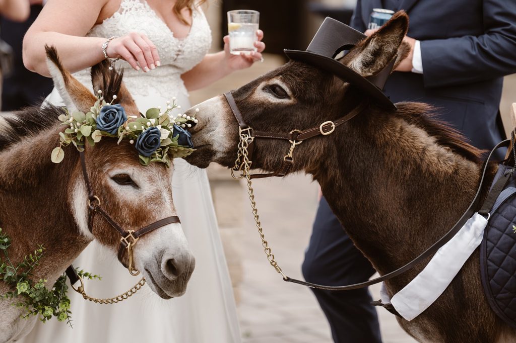 Spruce Mountain Wedding 