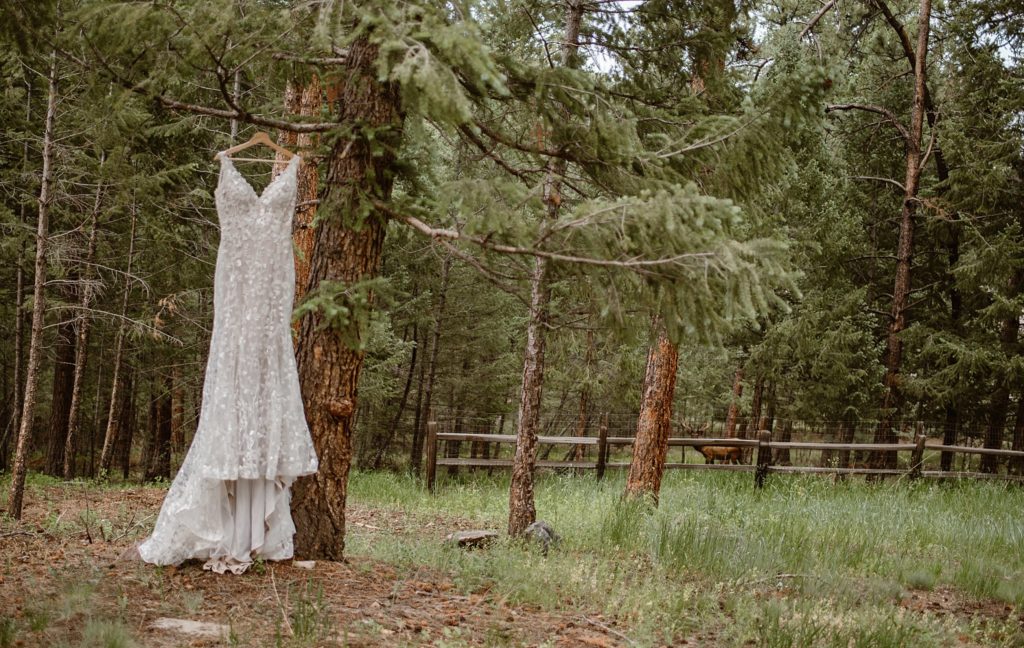 Evergreen Lakehouse Wedding 