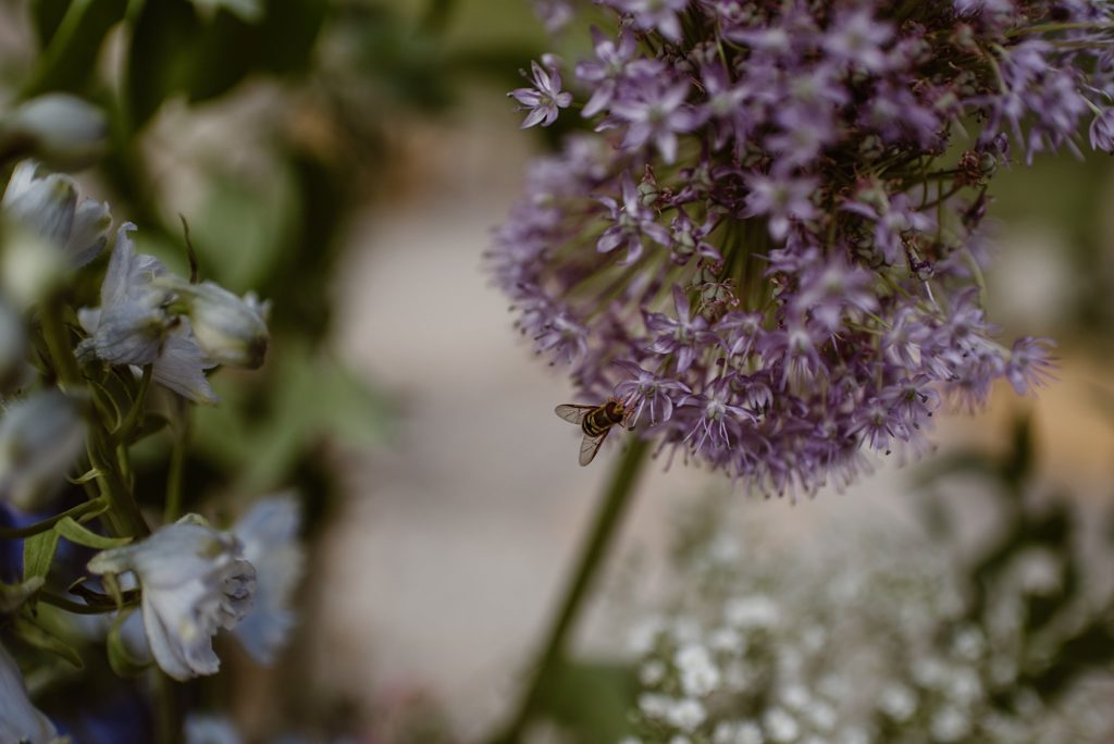 Beaver Creek Wedding Deck