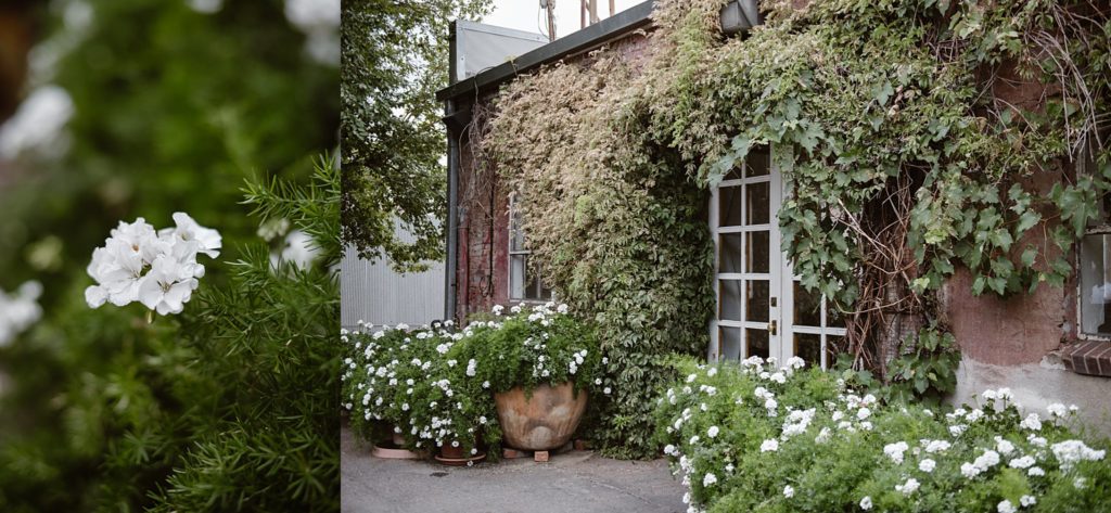 Blanc Denver Wedding